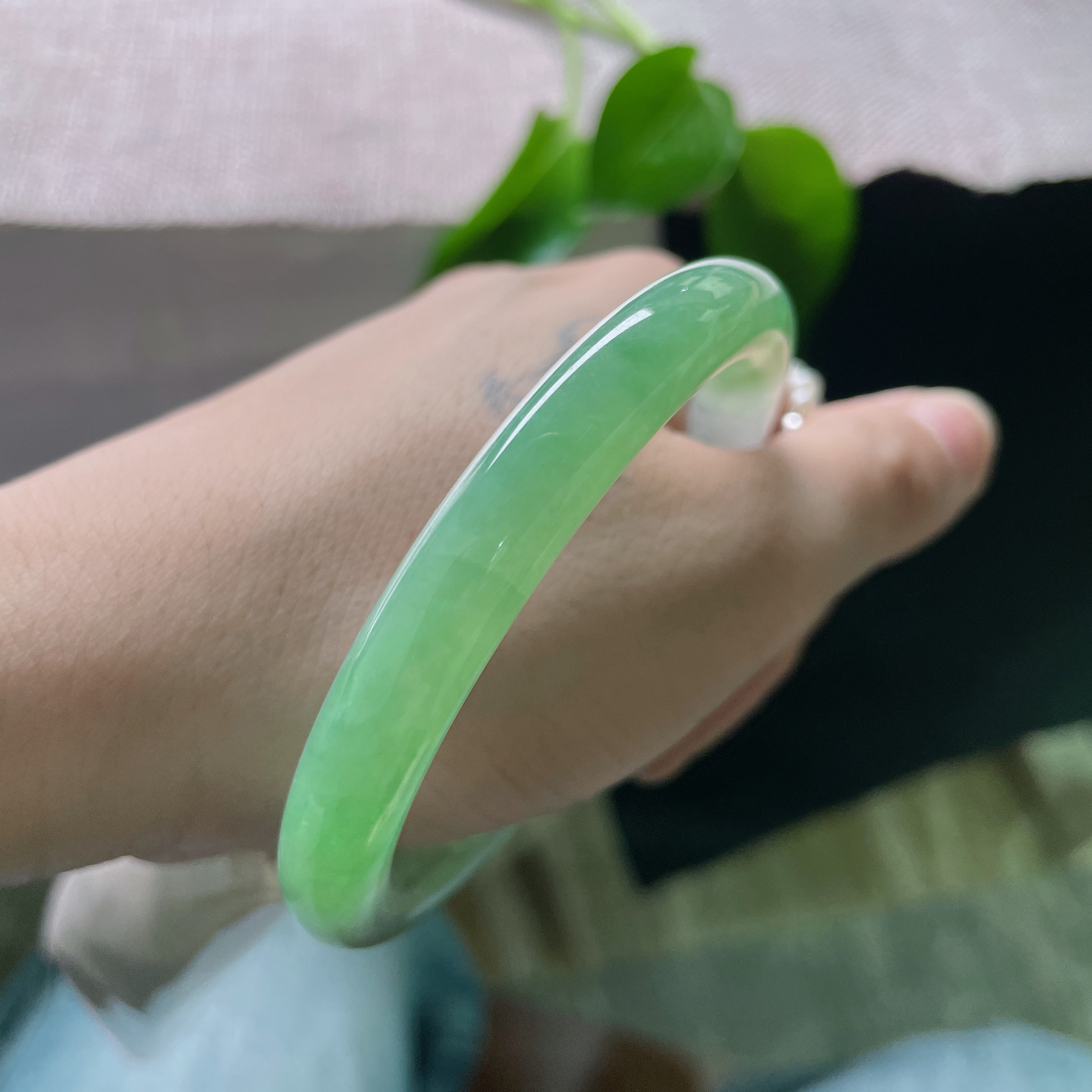 56.6/8.6，绿底圆条，一缕淡绿在清透的腕间流转，如远山含黛的薄雾。皮纹，ss50099a..