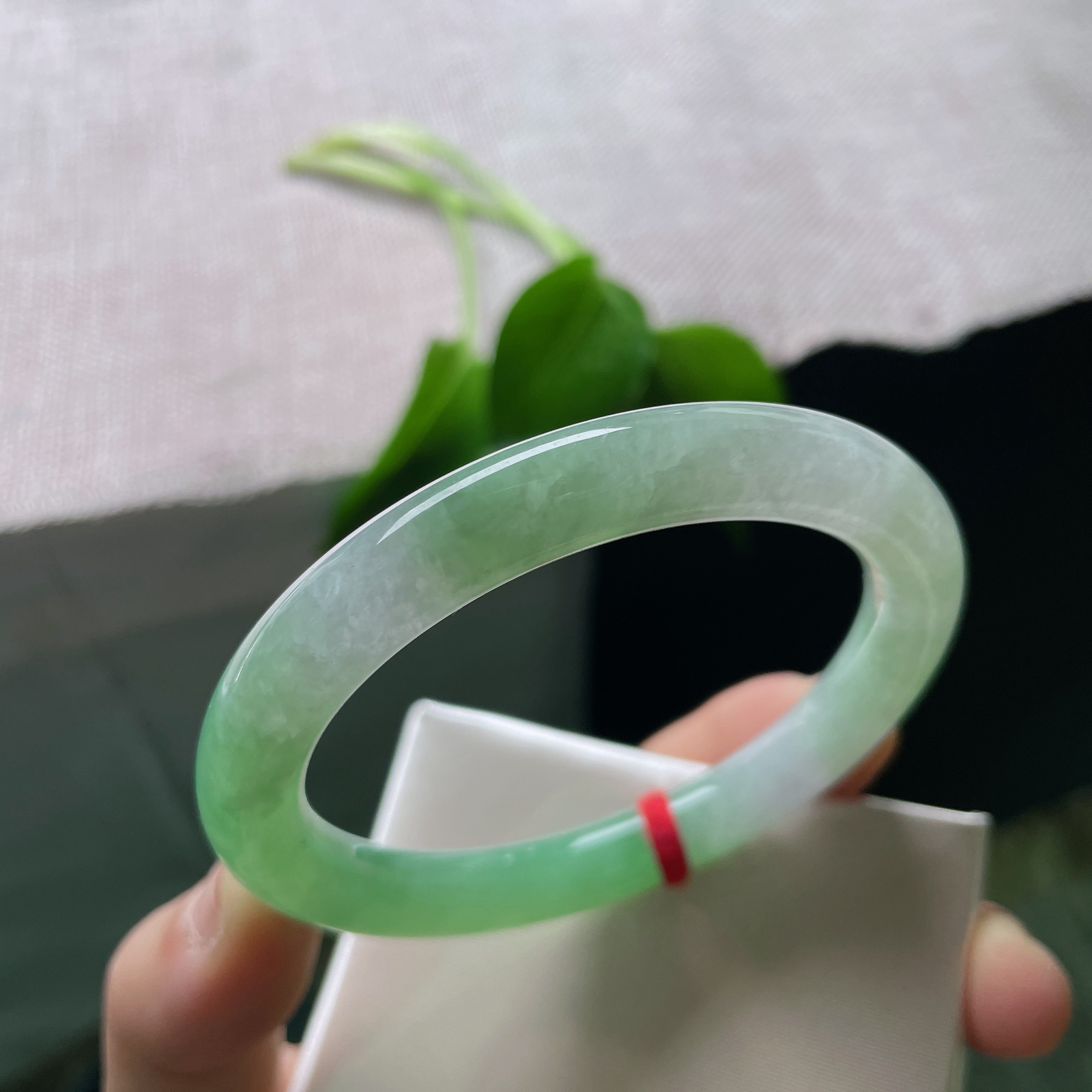 56.6/8.6，绿底圆条，一缕淡绿在清透的腕间流转，如远山含黛的薄雾。皮纹，ss50099a..