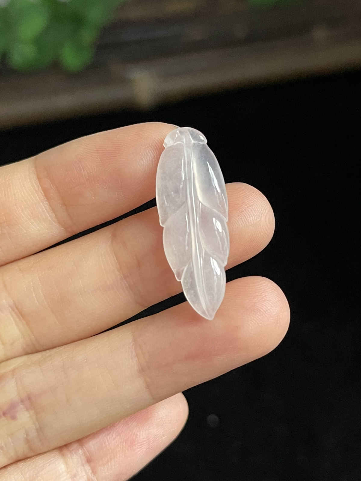 翡翠叶子