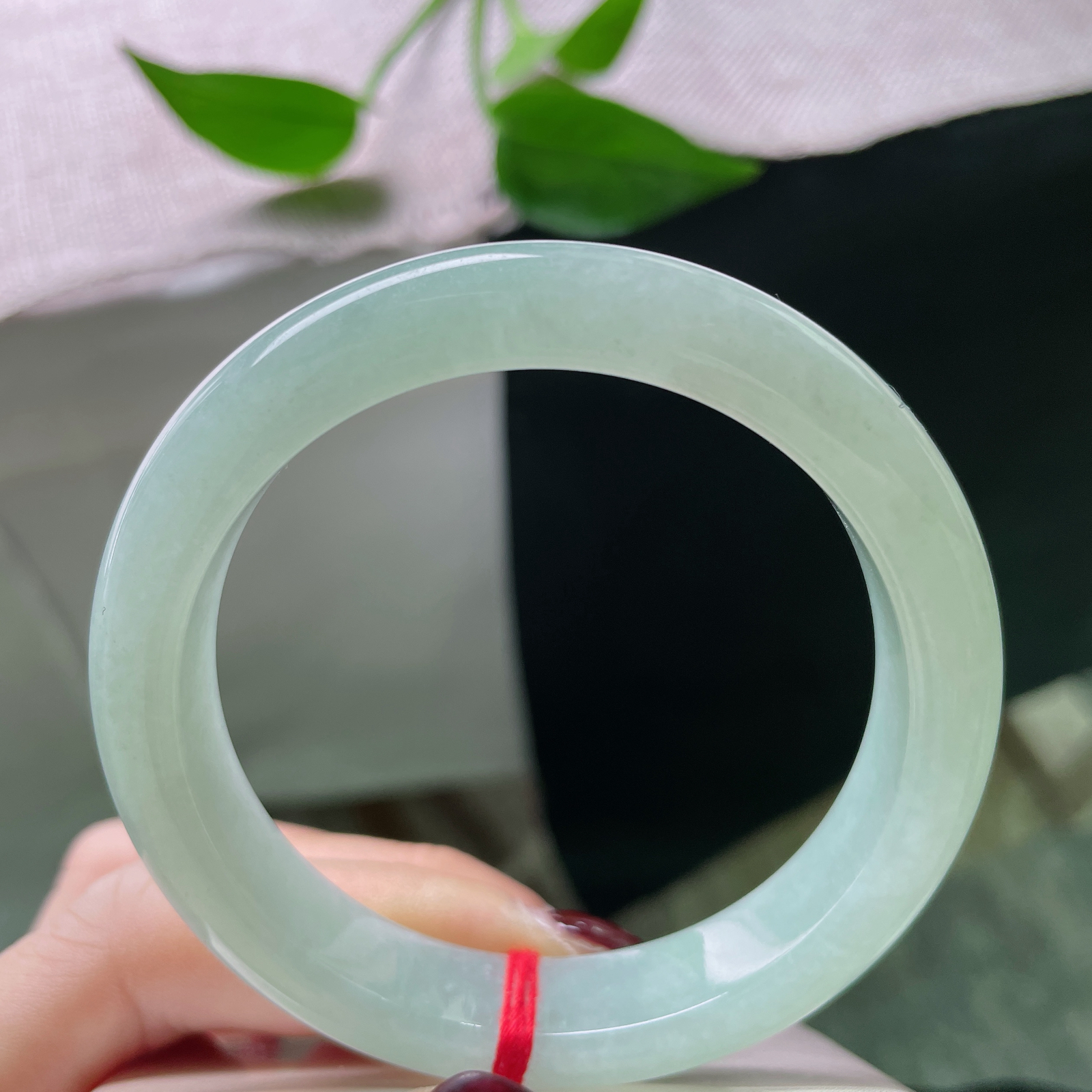 55.7/12.1/8.4，浅绿底正圈，芙蓉肉，圈一泓初醒的湖水，在腕间养一亩烟波。ss50710a