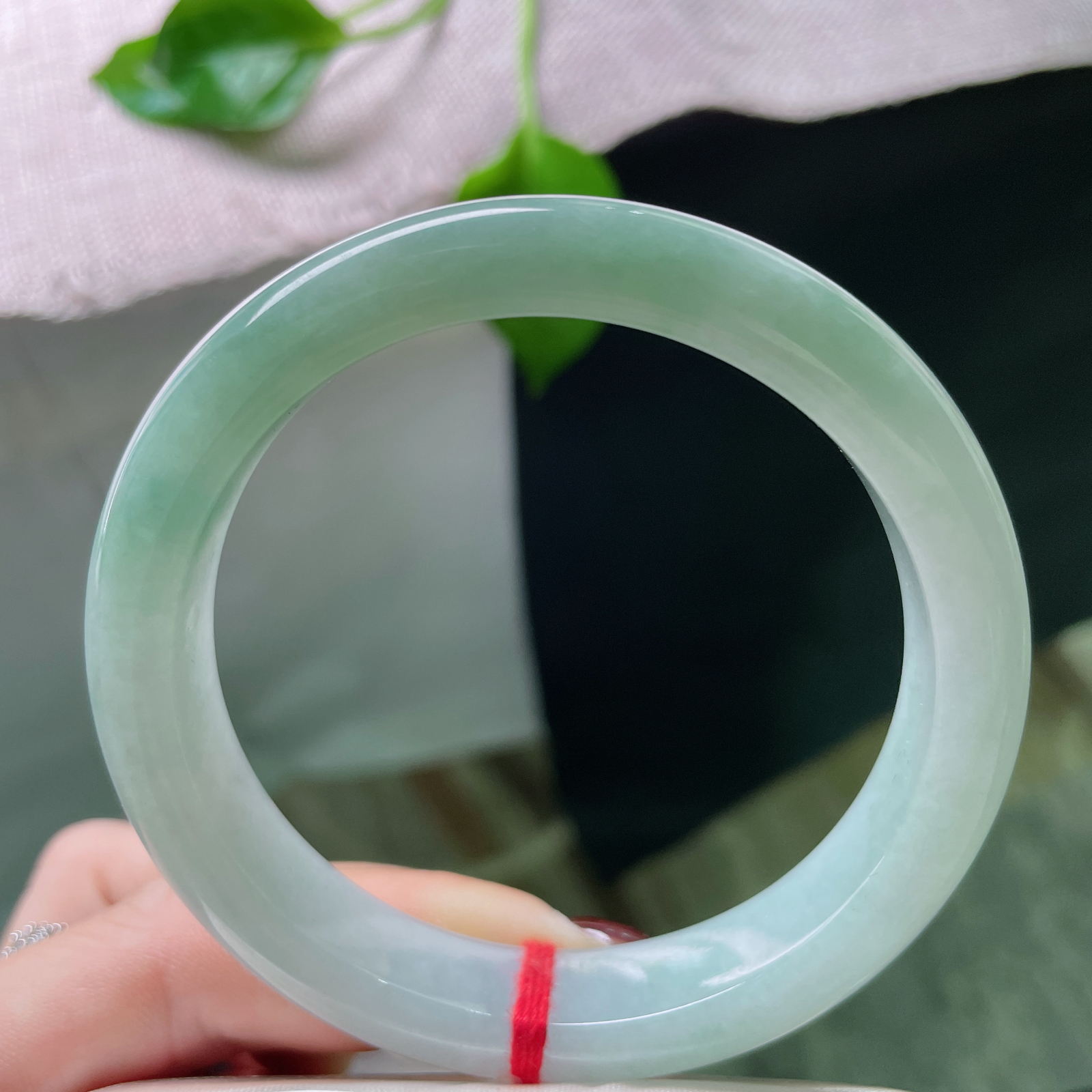 58.5/11.8/8.4，淡绿底正圈，底子细腻干净，不是浓墨重彩，而是恰到好处的温柔。ss5198