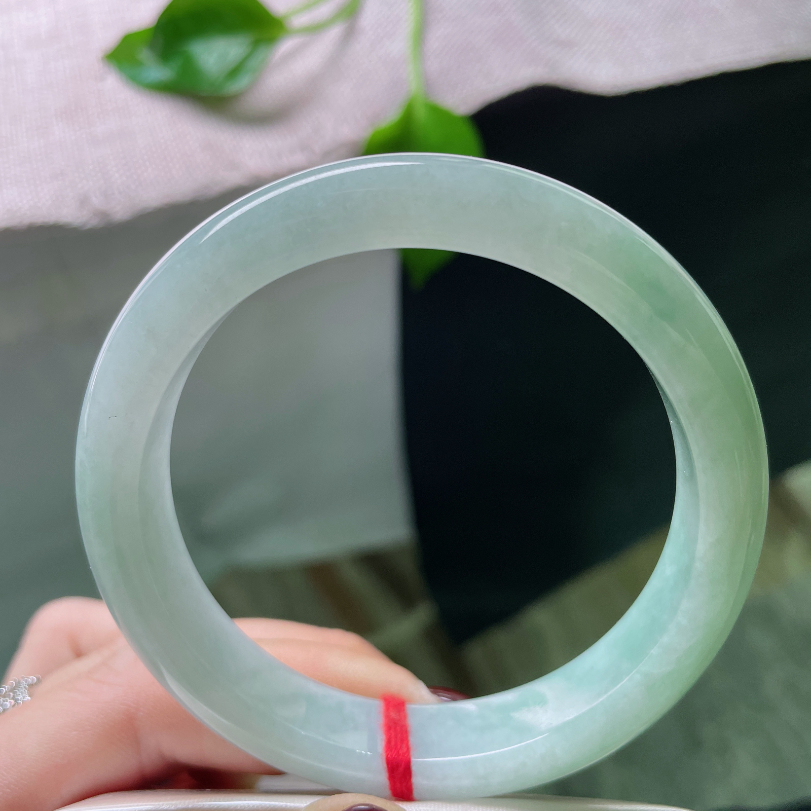 58.5/11.8/8.4，淡绿底正圈，底子细腻干净，不是浓墨重彩，而是恰到好处的温柔。色根，ss5