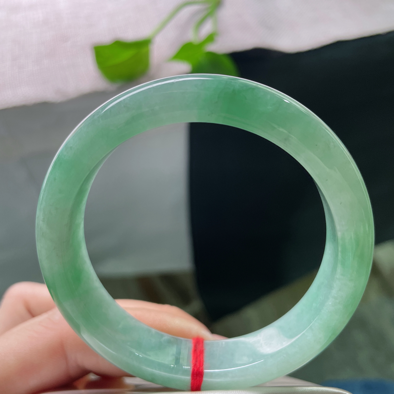 55.8/12.5/8.2，绿底正圈，如意芳菲，是冲破一切阻碍迎接新生的希望。一点皮纹，ss50858a..