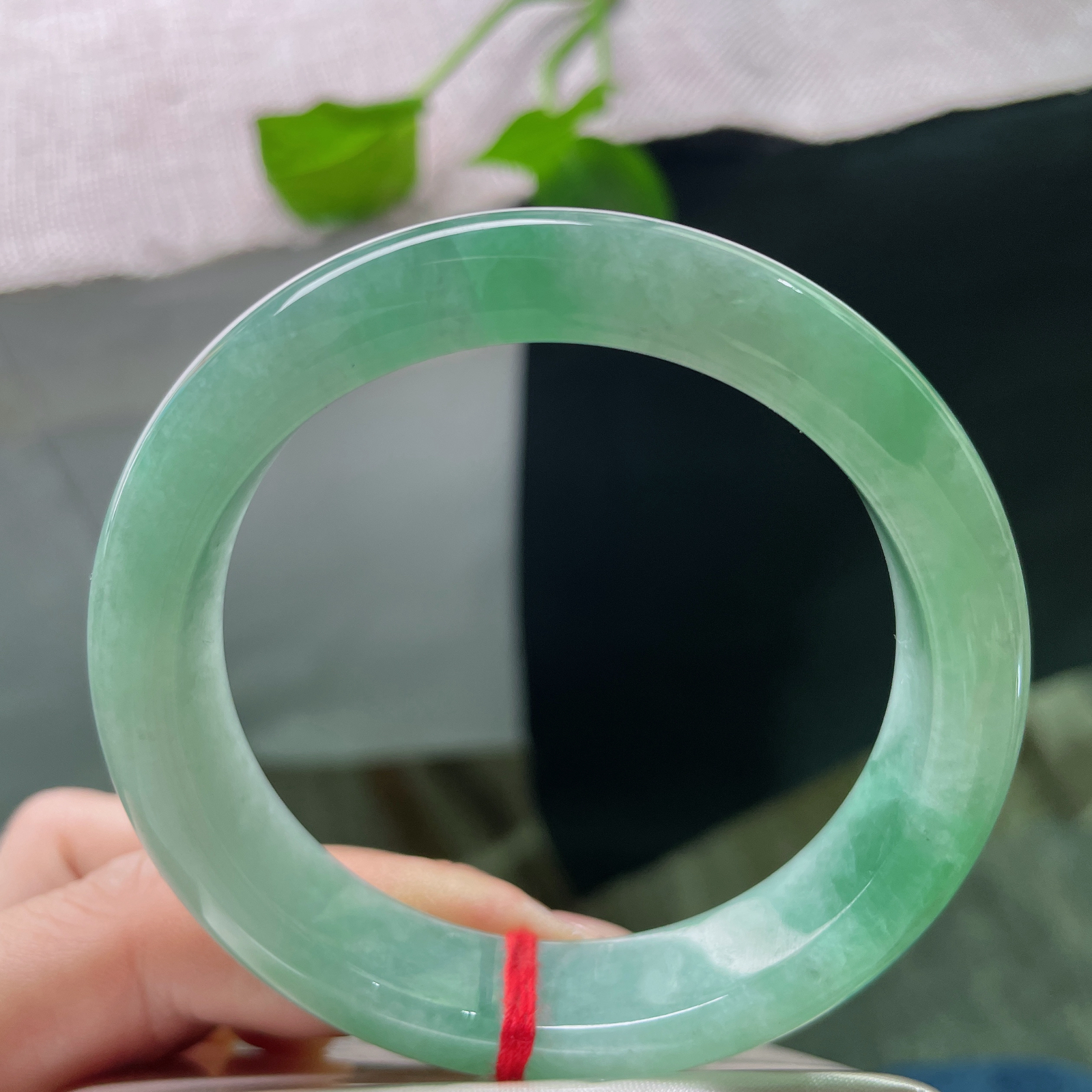 55.8/12.5/8.2，绿底正圈，如意芳菲，是冲破一切阻碍迎接新生的希望。一点皮纹，ss5085