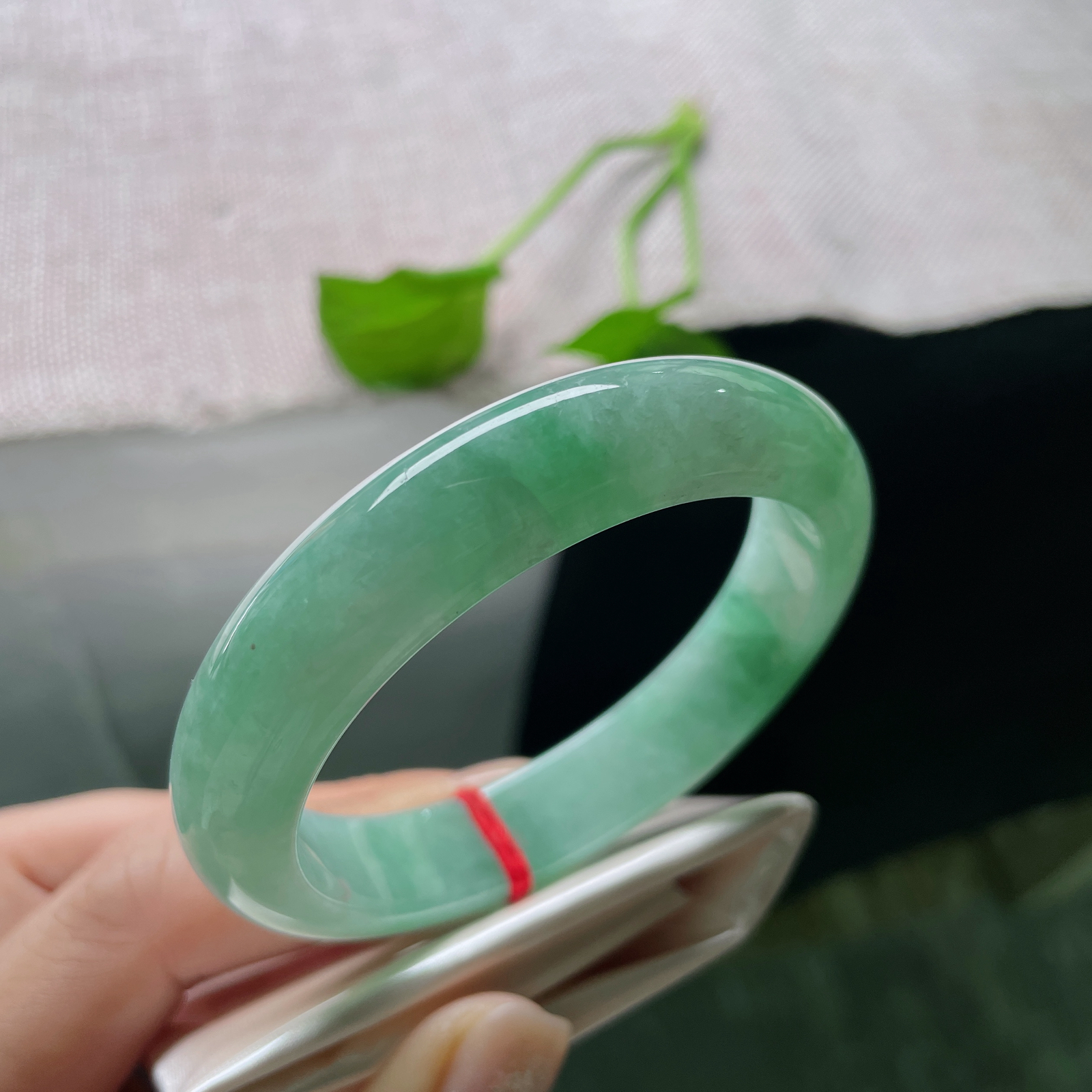 55.8/12.5/8.2，绿底正圈，如意芳菲，是冲破一切阻碍迎接新生的希望。一点皮纹，ss50858a..
