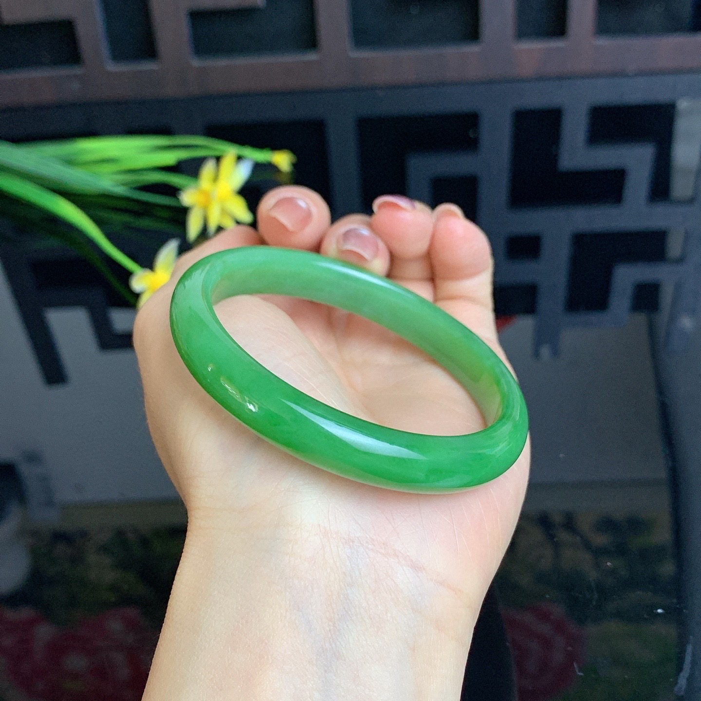 和田玉59圈阳绿色碧玉手镯！玉质细腻油润 底色纯净 脂粉好，品质高。