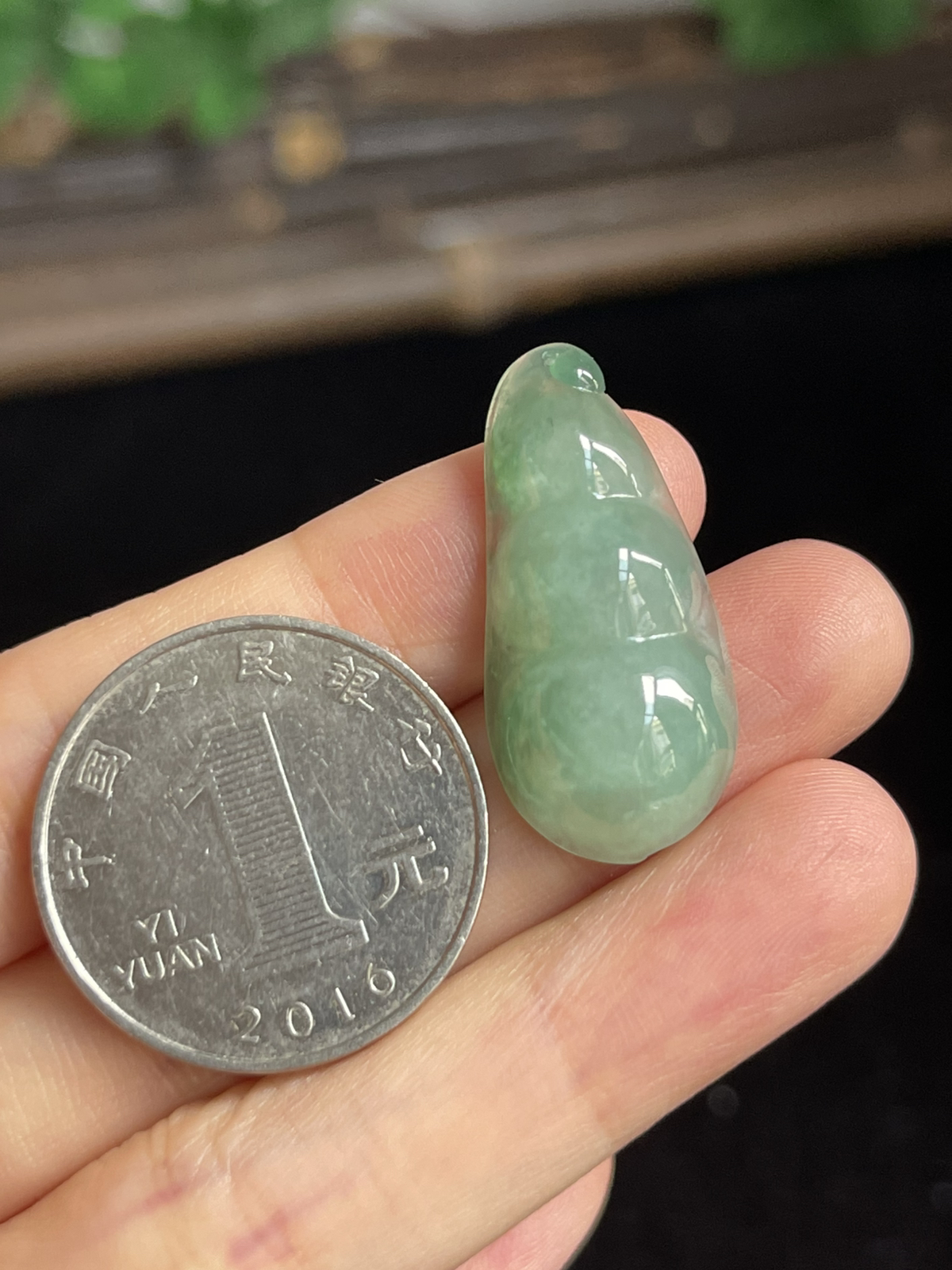 翡翠四季豆