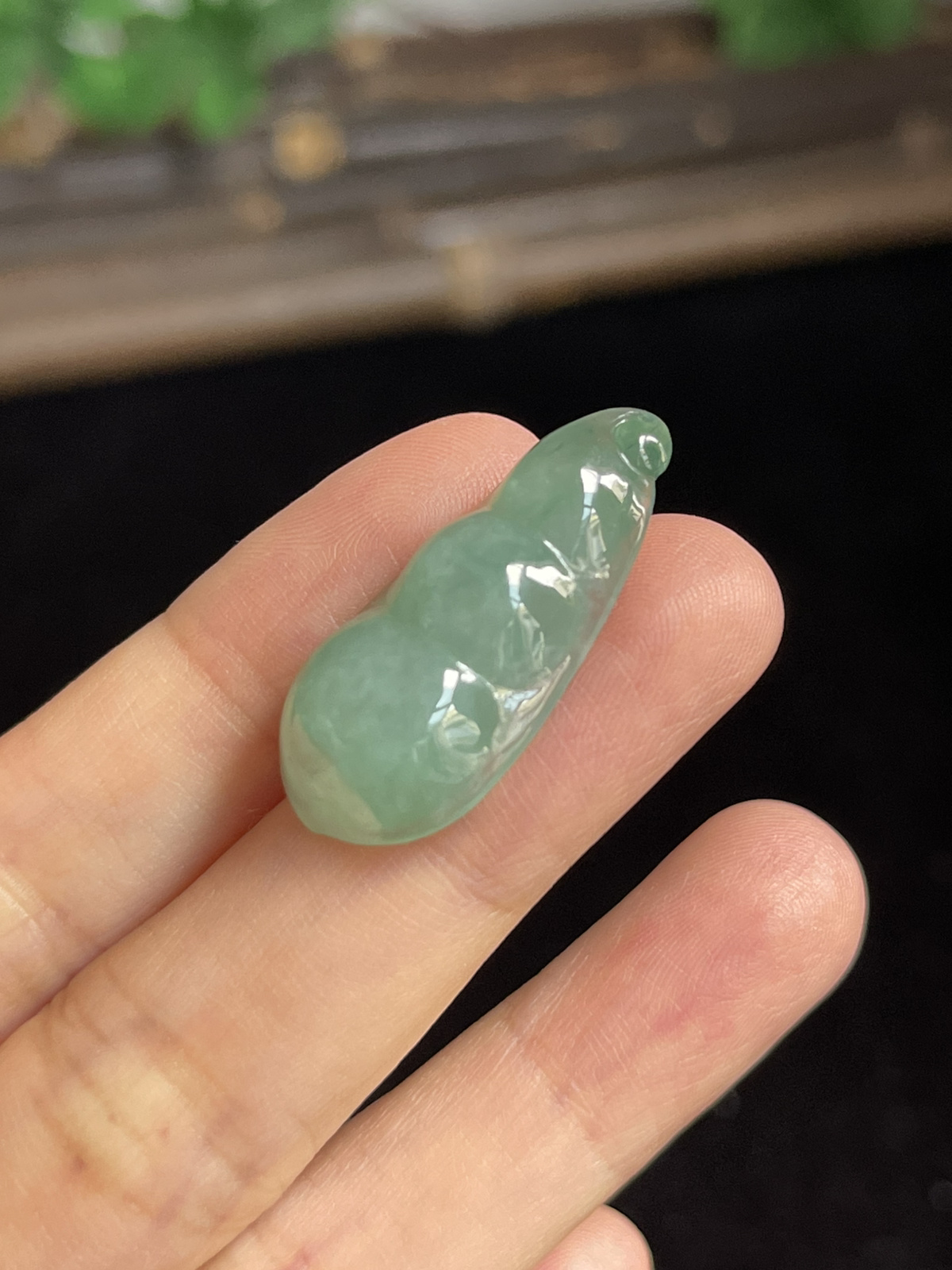 翡翠四季豆