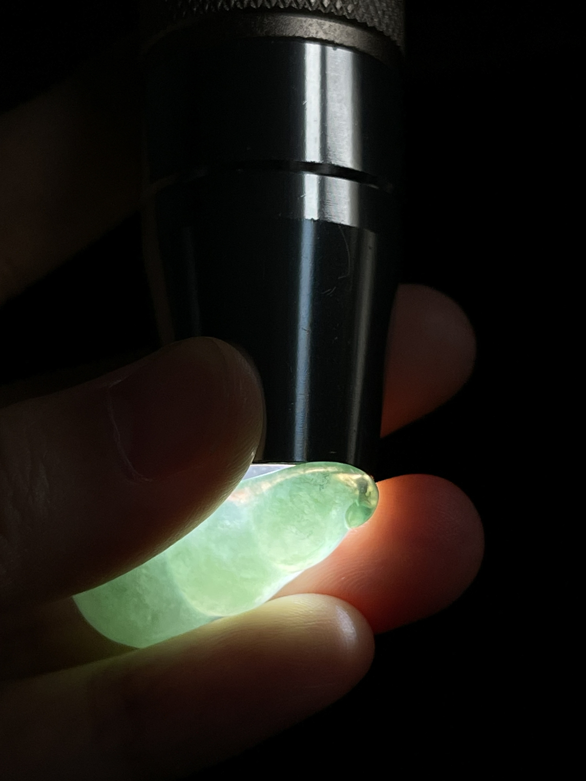 翡翠四季豆