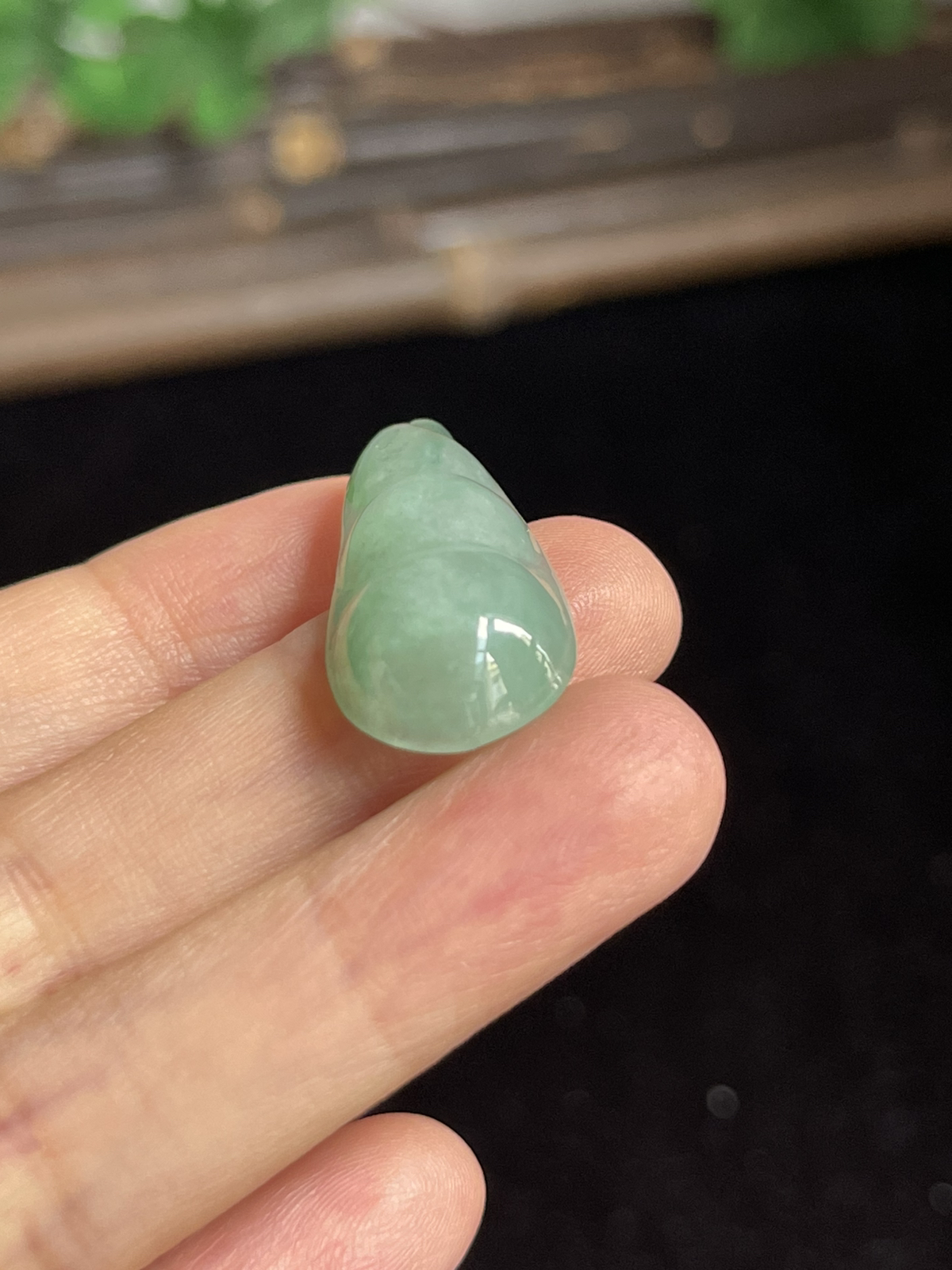 翡翠四季豆