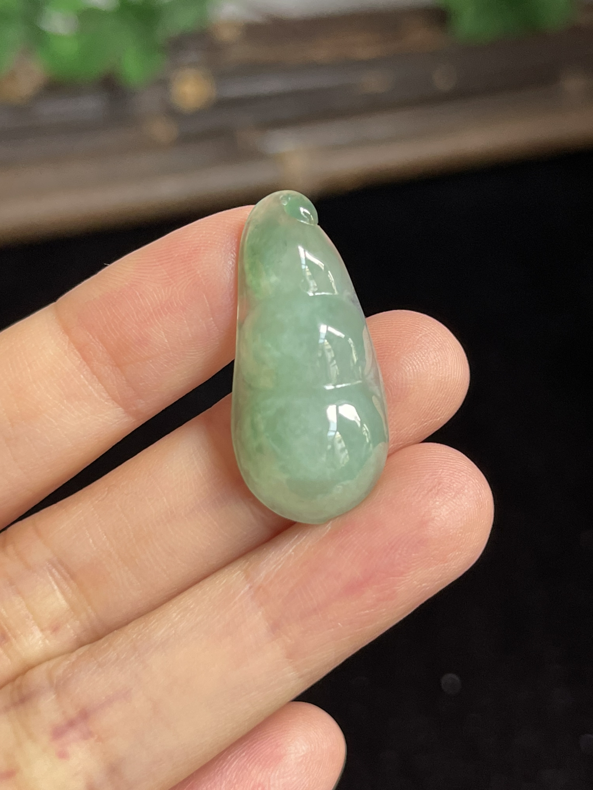 翡翠四季豆