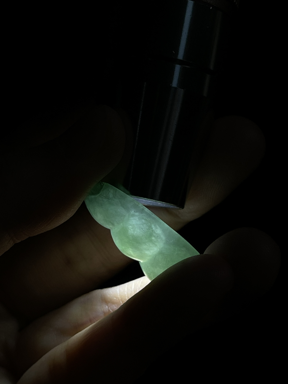 翡翠四季豆