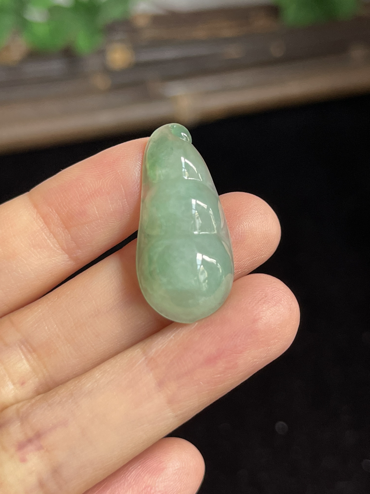 翡翠四季豆