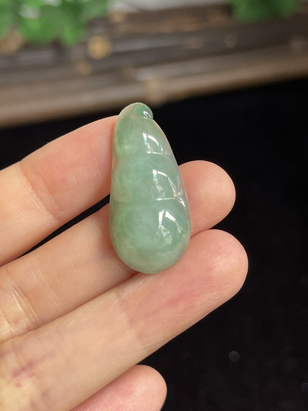 翡翠四季豆