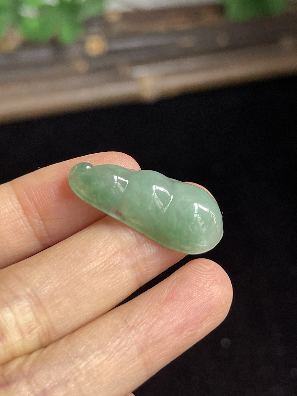 翡翠四季豆