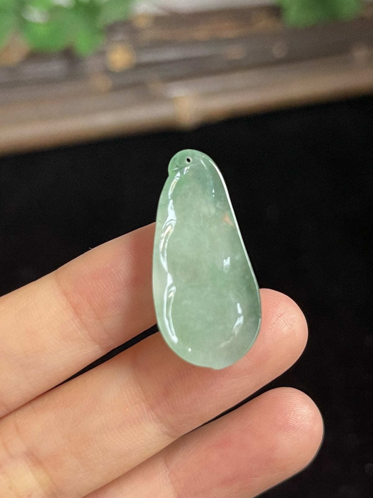 翡翠四季豆