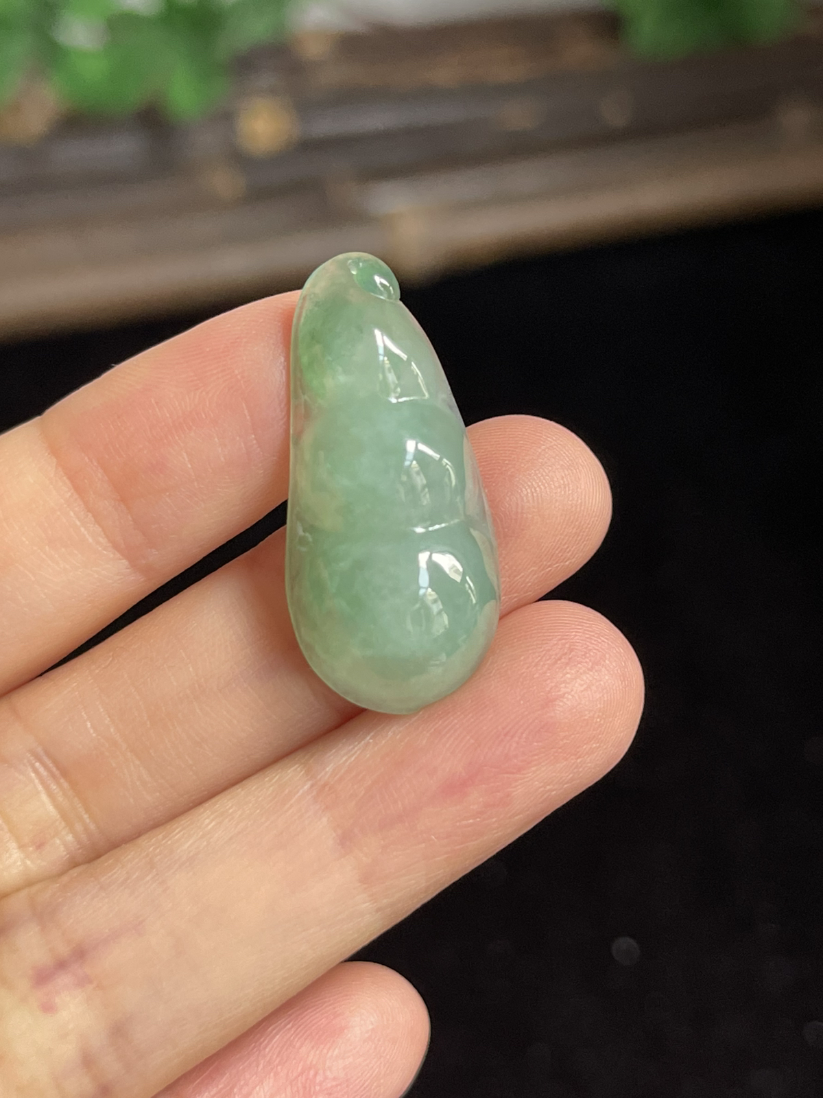 翡翠四季豆