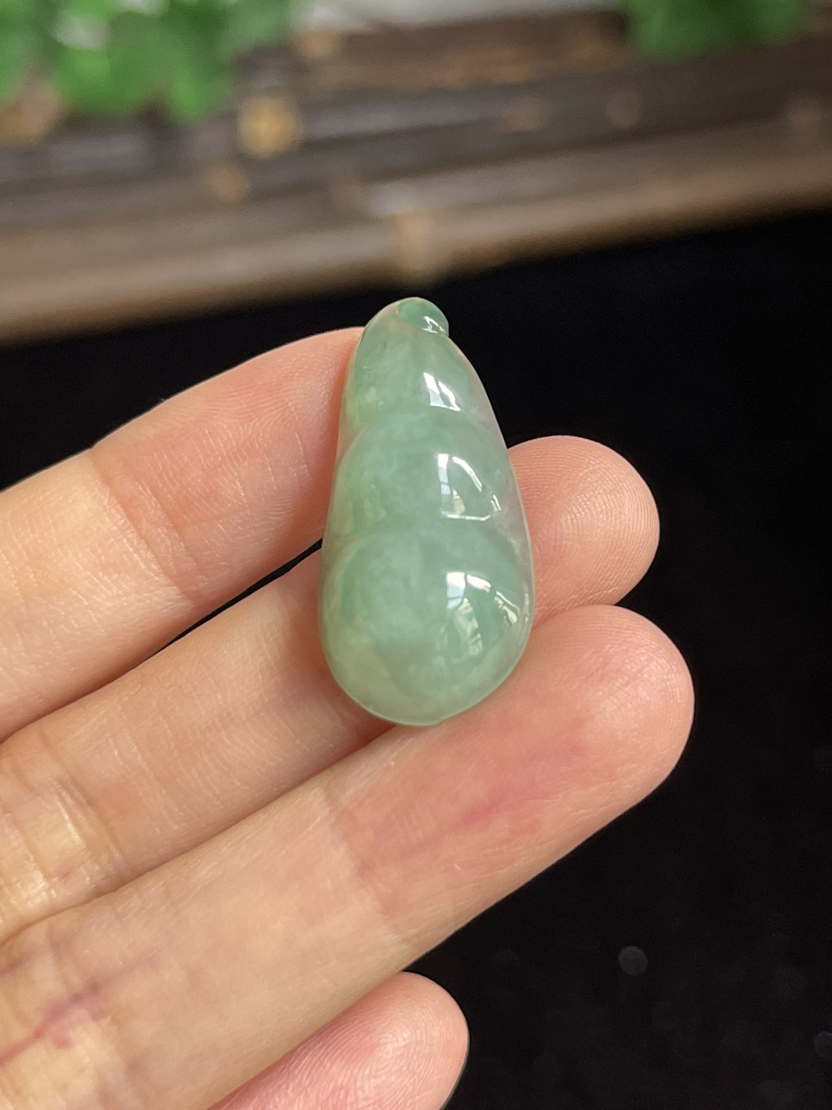 翡翠四季豆