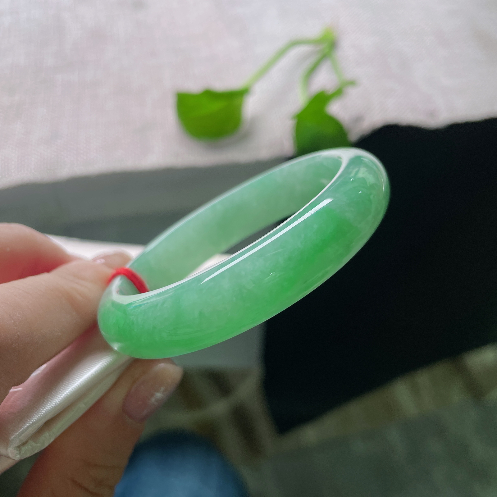 52（46）/12/7.3，绿底贵妃，绿底生韵，绰约多姿，种老，庄重，皮纹，ss51655a..
