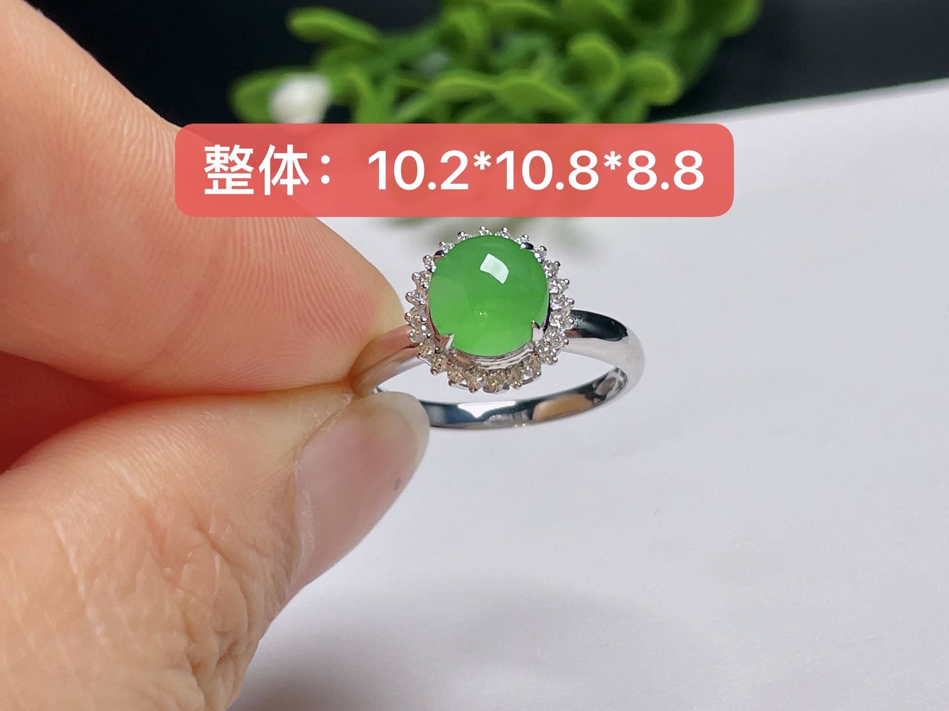 ️ 天然翡翠A货【18K金镶嵌介指】老坑冰种，满绿，品相好，捡漏速度，一手货源   ，10.2-1