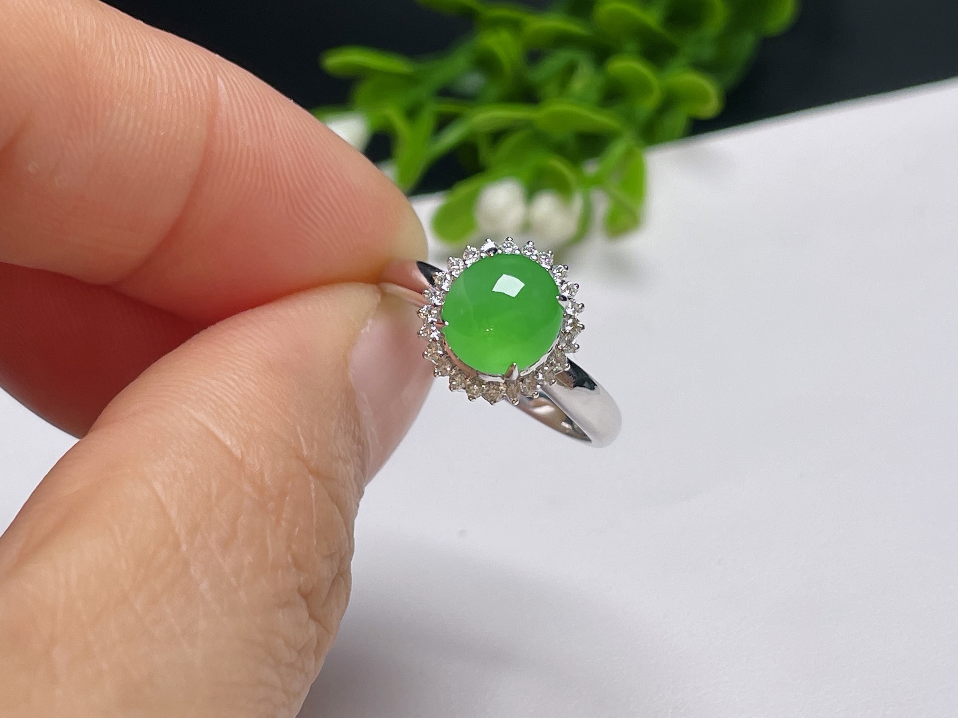 ️ 天然翡翠A货【18K金镶嵌介指】老坑冰种，满绿，品相好，捡漏速度，一手货源   ，10.2-10.8-8.8