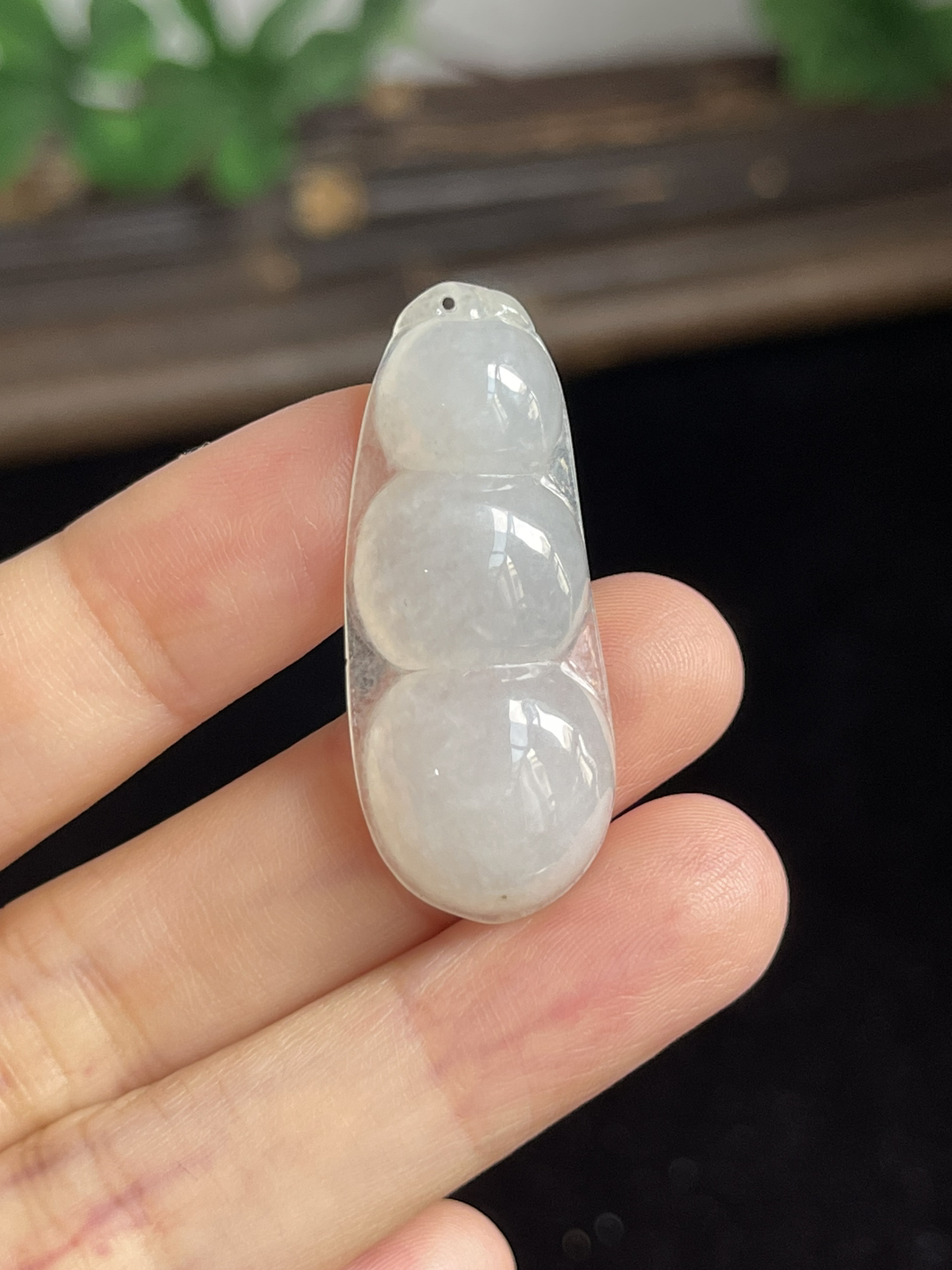 翡翠福豆