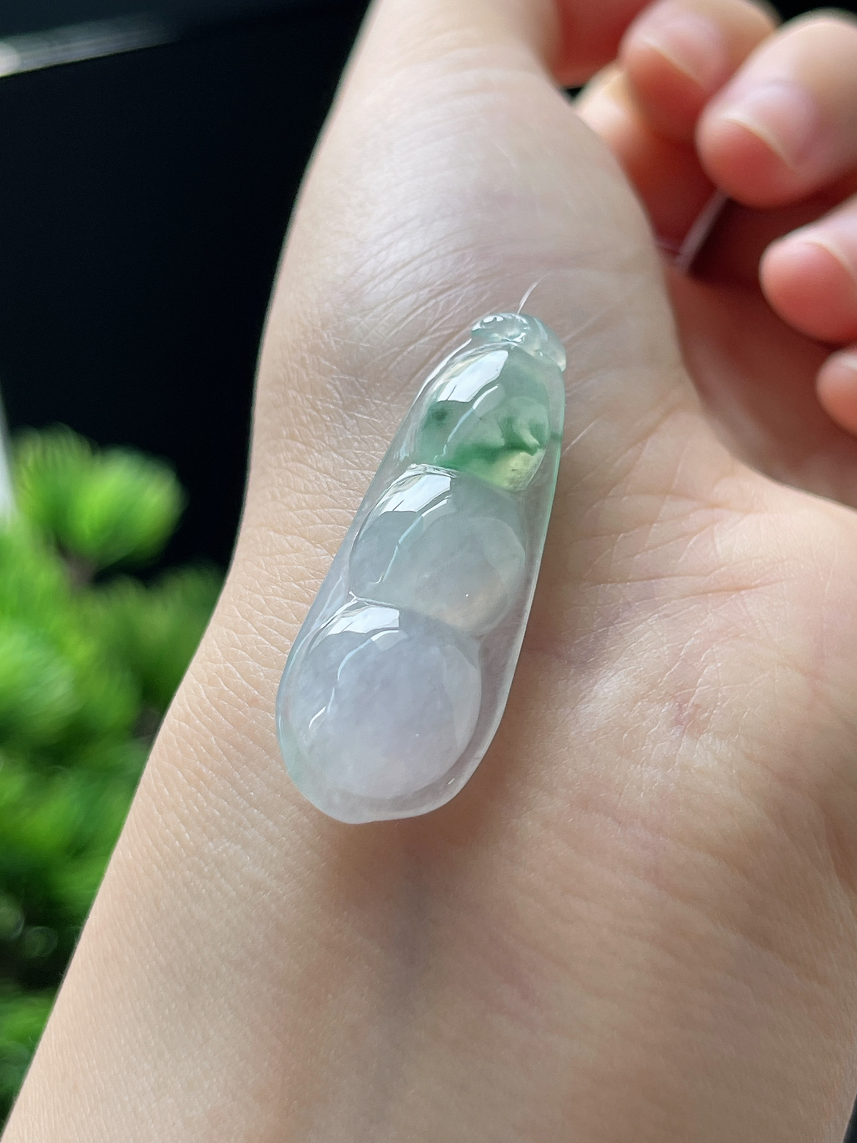 翡翠冰糯种飘绿福豆
