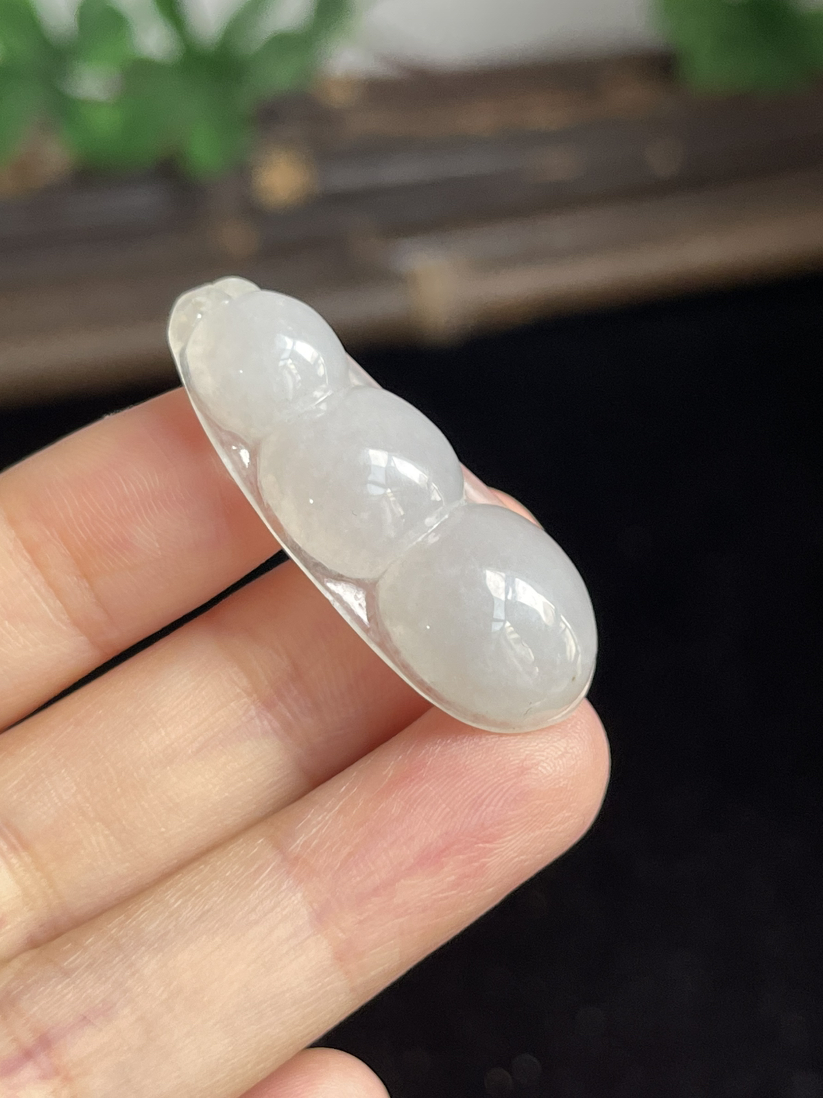 翡翠福豆