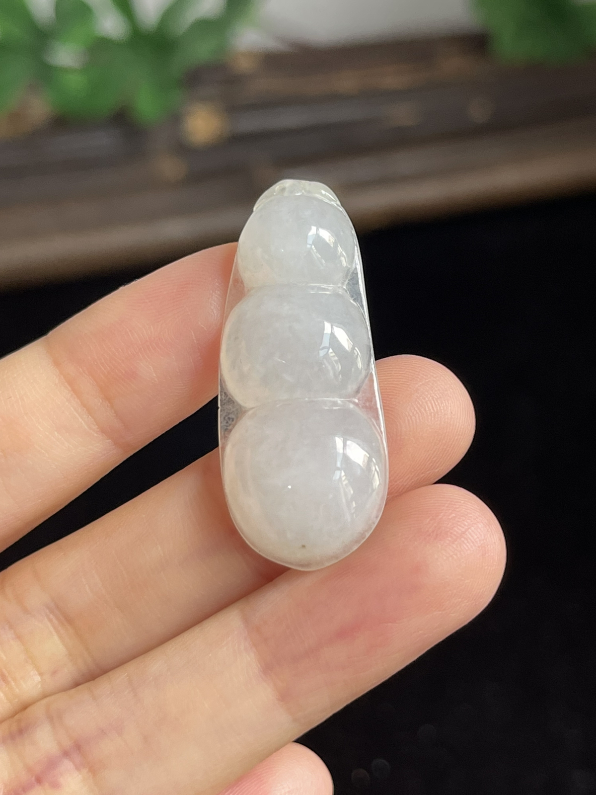 翡翠福豆