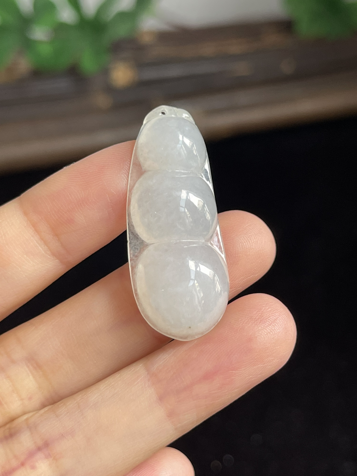 翡翠福豆