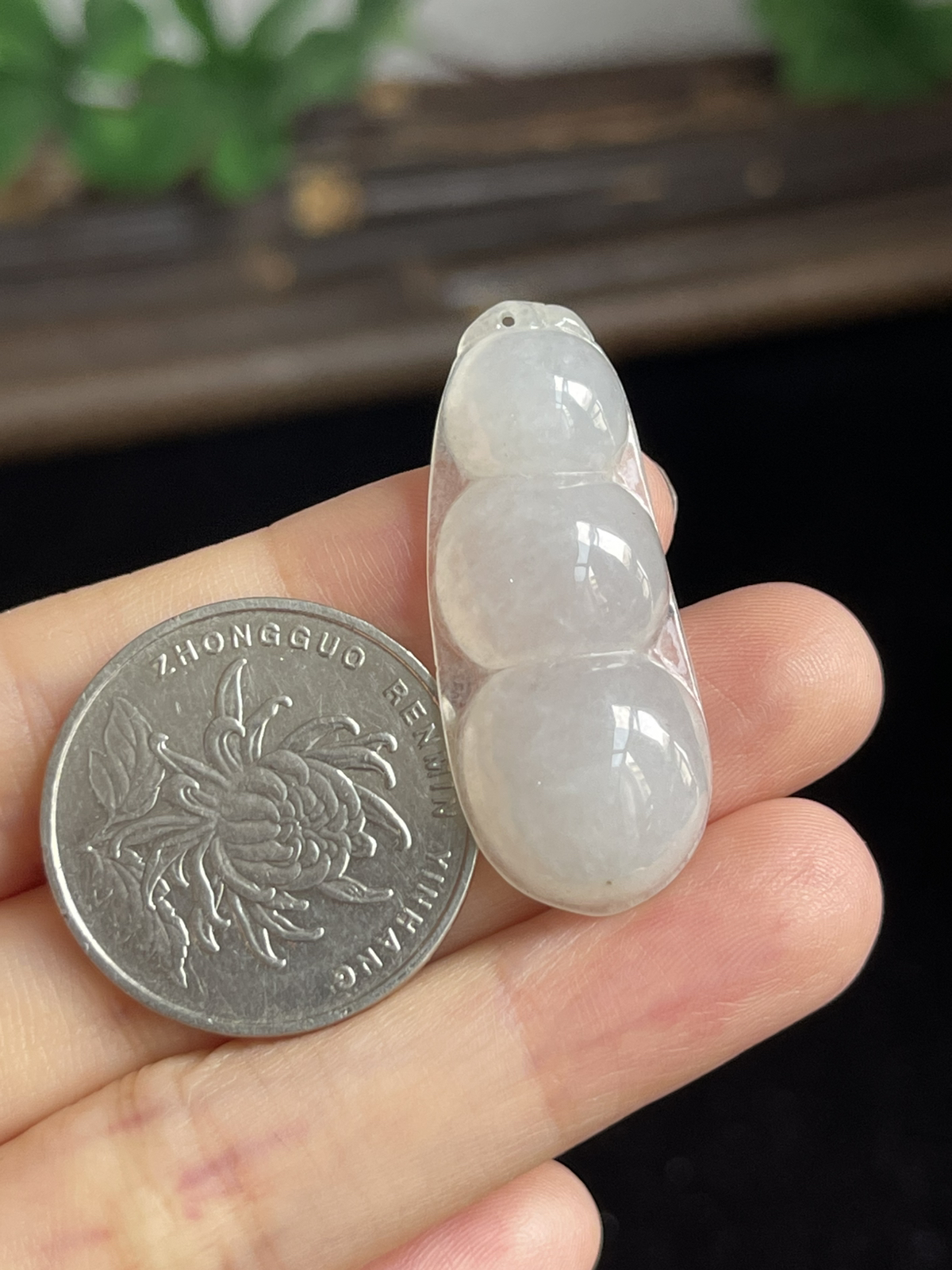 翡翠福豆