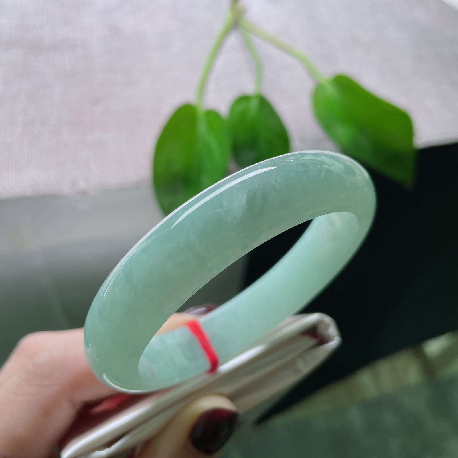 56.5/13.2/7.9，浅蓝底正圈，腕间一抹温柔治愈色，清新淡雅，种老，ss52986a..