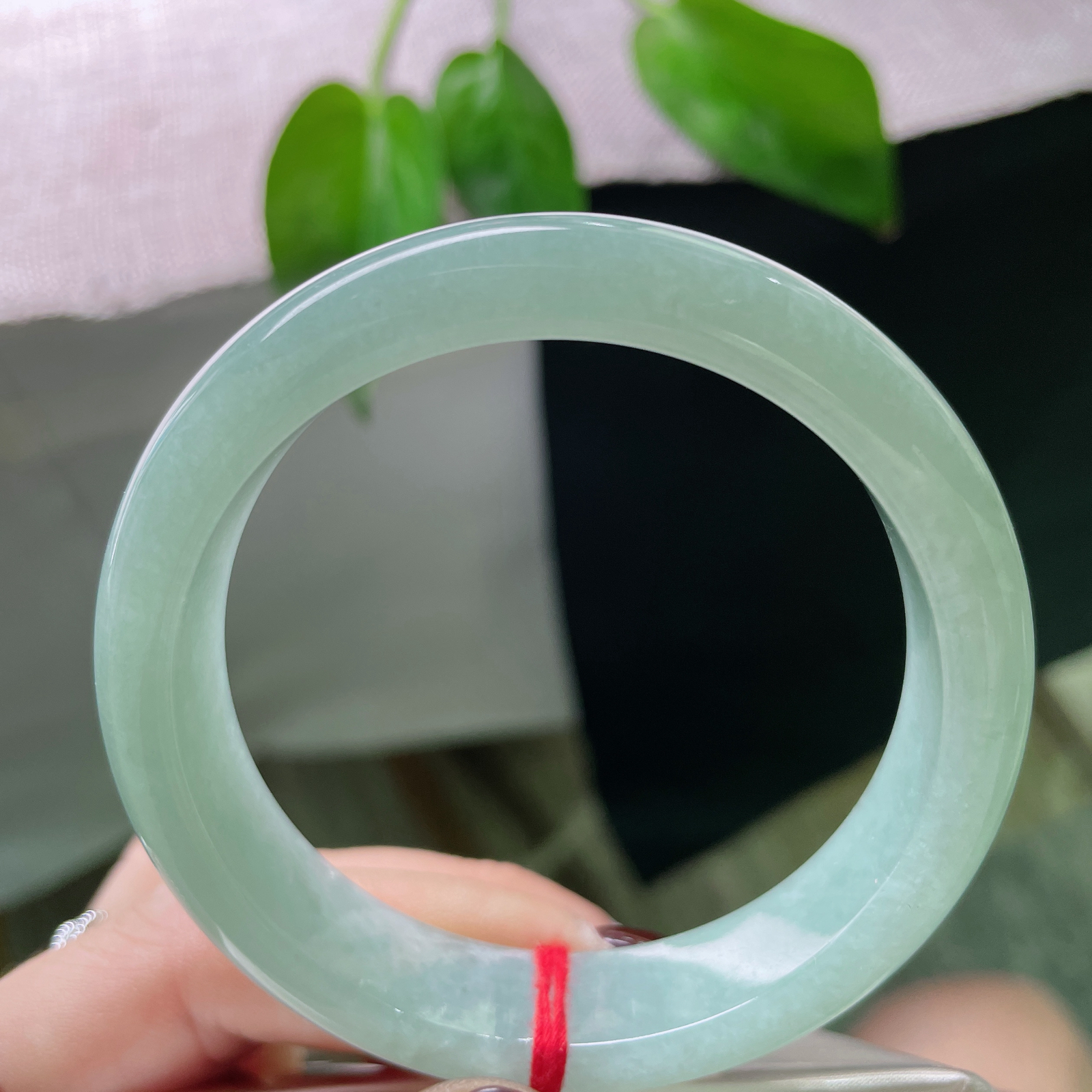 56.5/13.2/7.9，浅蓝底正圈，腕间一抹温柔治愈色，清新淡雅，种老，ss52986a..