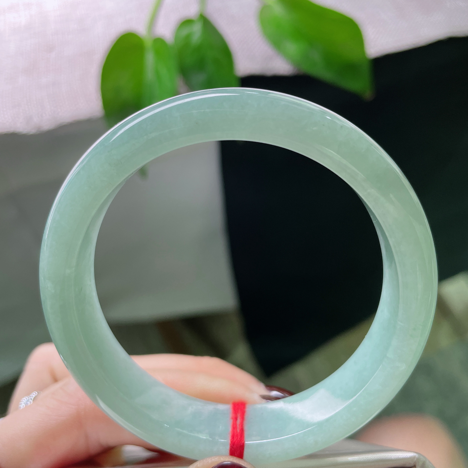 56.5/13.2/7.9，浅蓝底正圈，腕间一抹温柔治愈色，清新淡雅，种老，ss52986a..