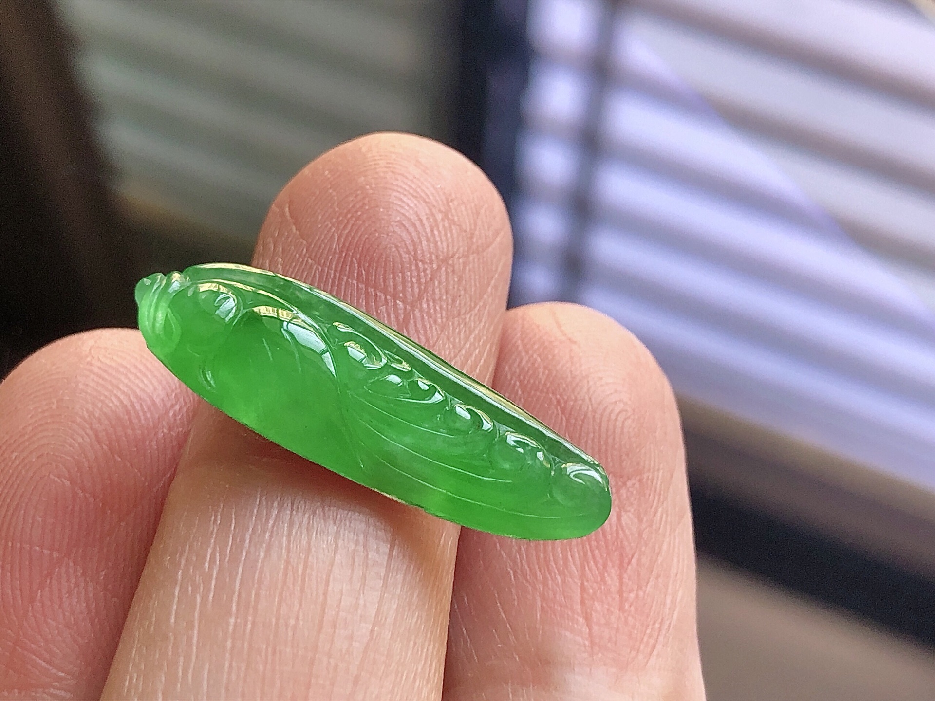 ️ 冰种阳绿鹦鹉， 色泽艳阳，通透水润，玉质细腻，夺目迷人，镶嵌效果，品相，无裂，尺寸28.3*9