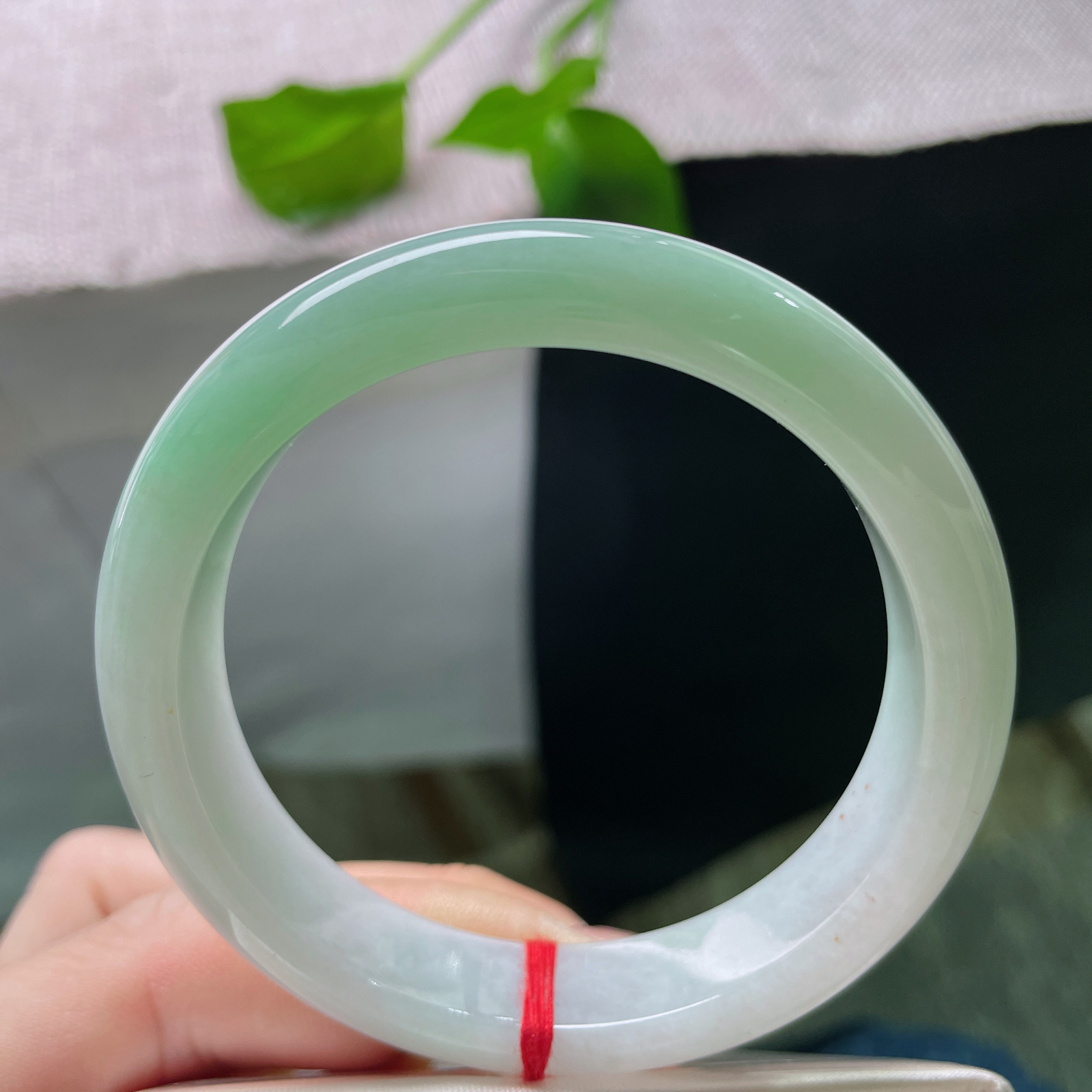54.7/12.2/8，浅绿底正圈，颜色由浅入深渐变，细腻，清新，治愈，无裂，ss52241a..
