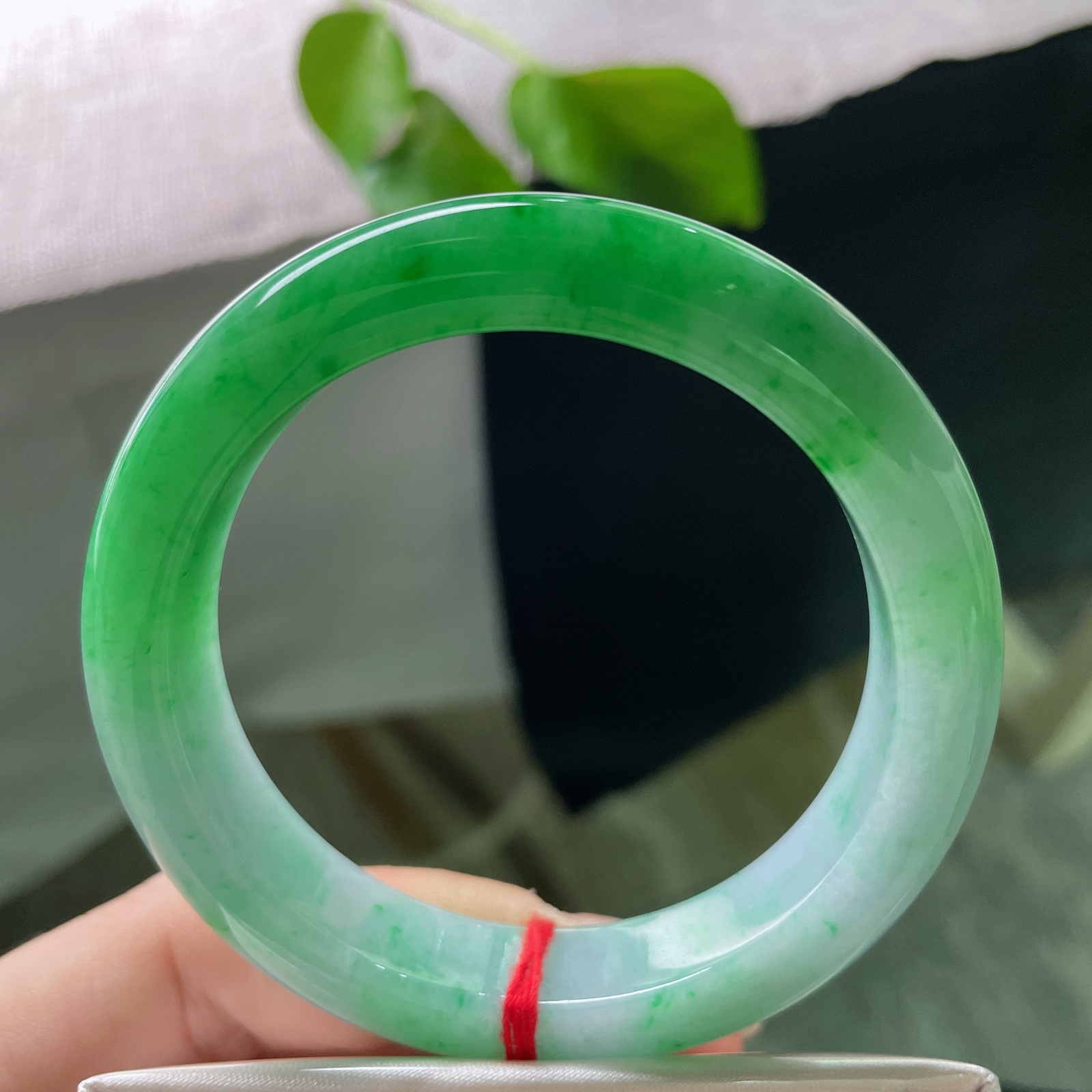 55.8/12.5/9.2，阳绿正圈，青翠欲滴，一镯凝尽千山翠，满目风华自倾城。ss53127a..