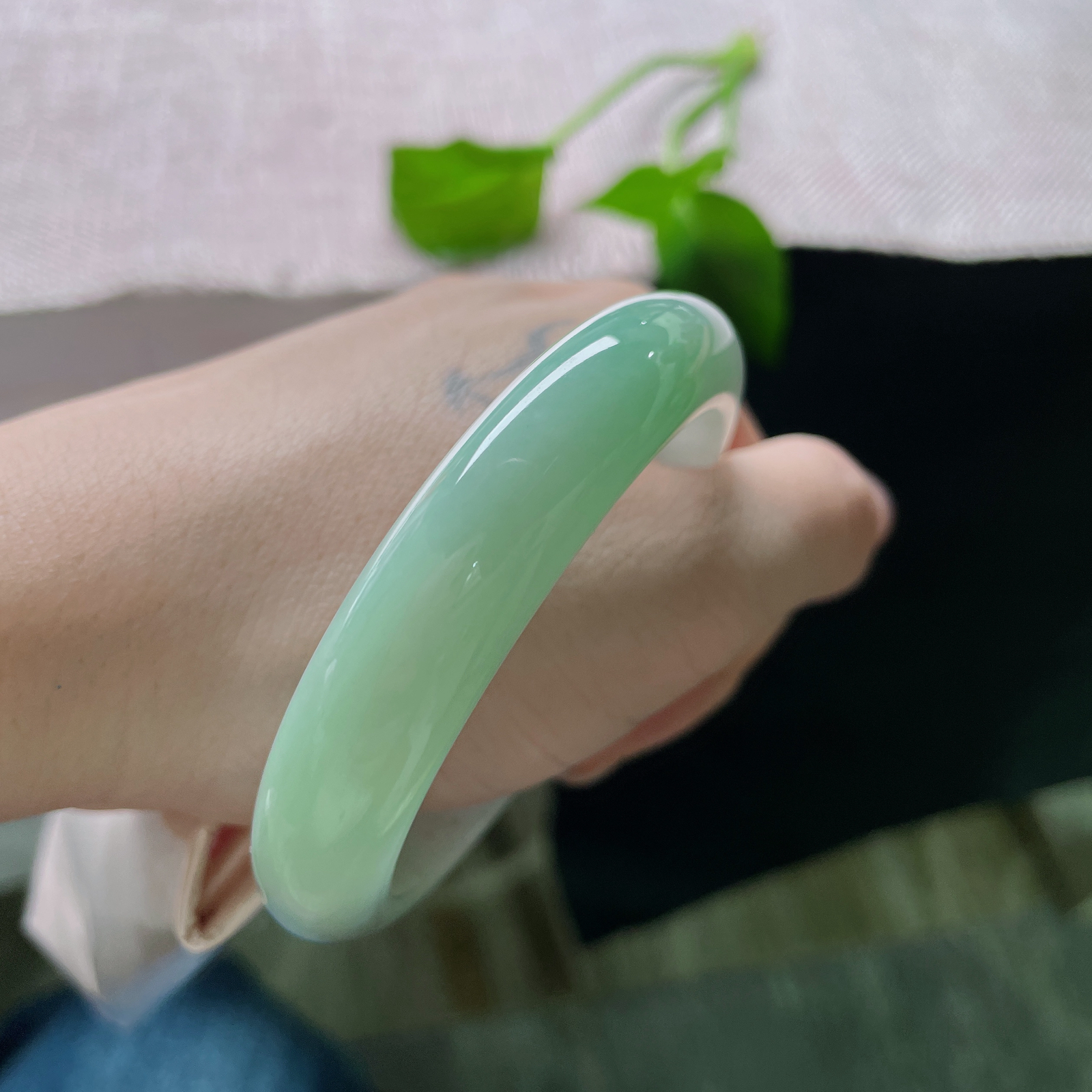 54.7/12.2/8，浅绿底正圈，颜色由浅入深渐变，细腻，清新，治愈，无裂，ss52241a..