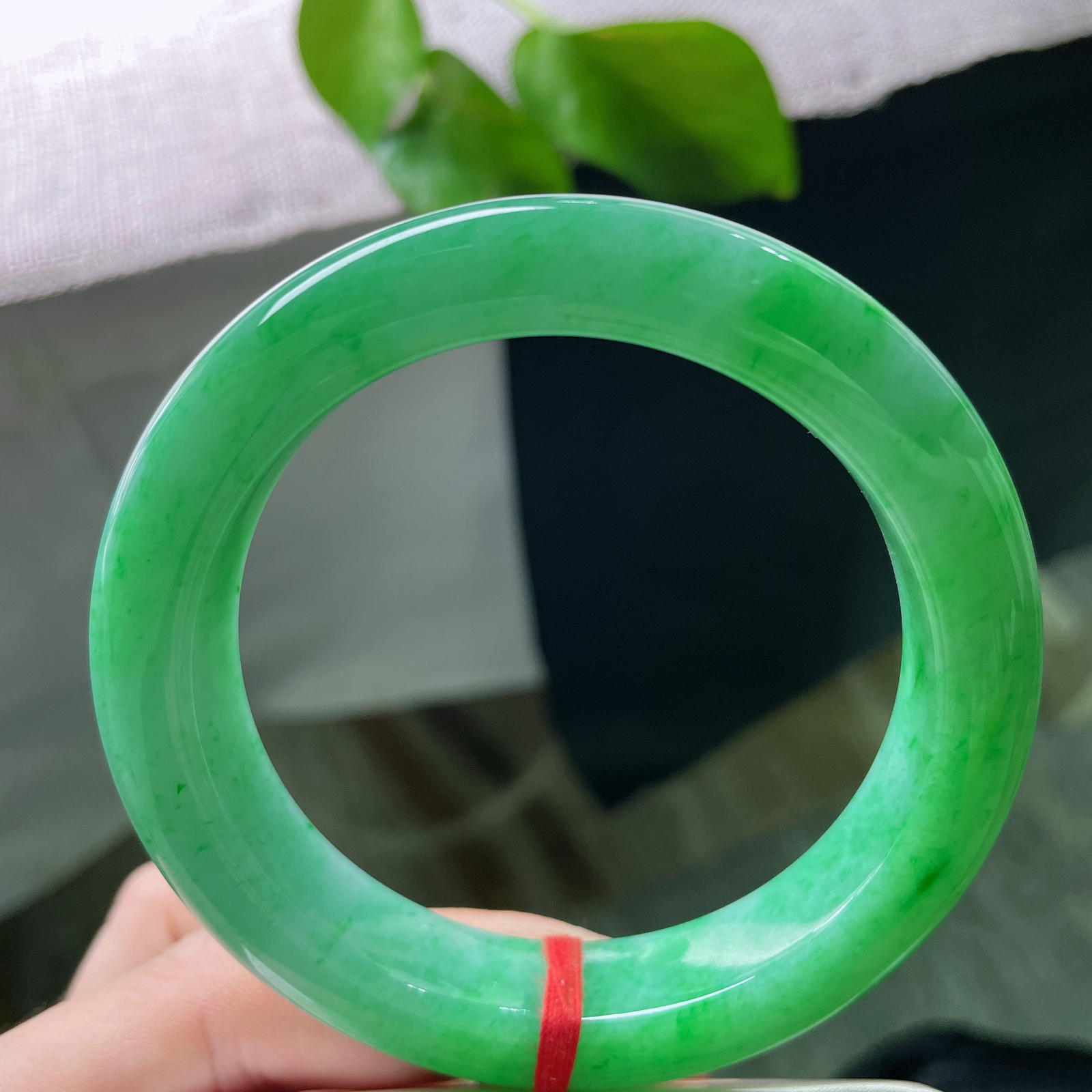 58.9/13.1/10.2，满绿正圈，碧色漫盈玉骨，芳华不染尘埃，抬手皆是盎然意，落腕尽是满堂春。