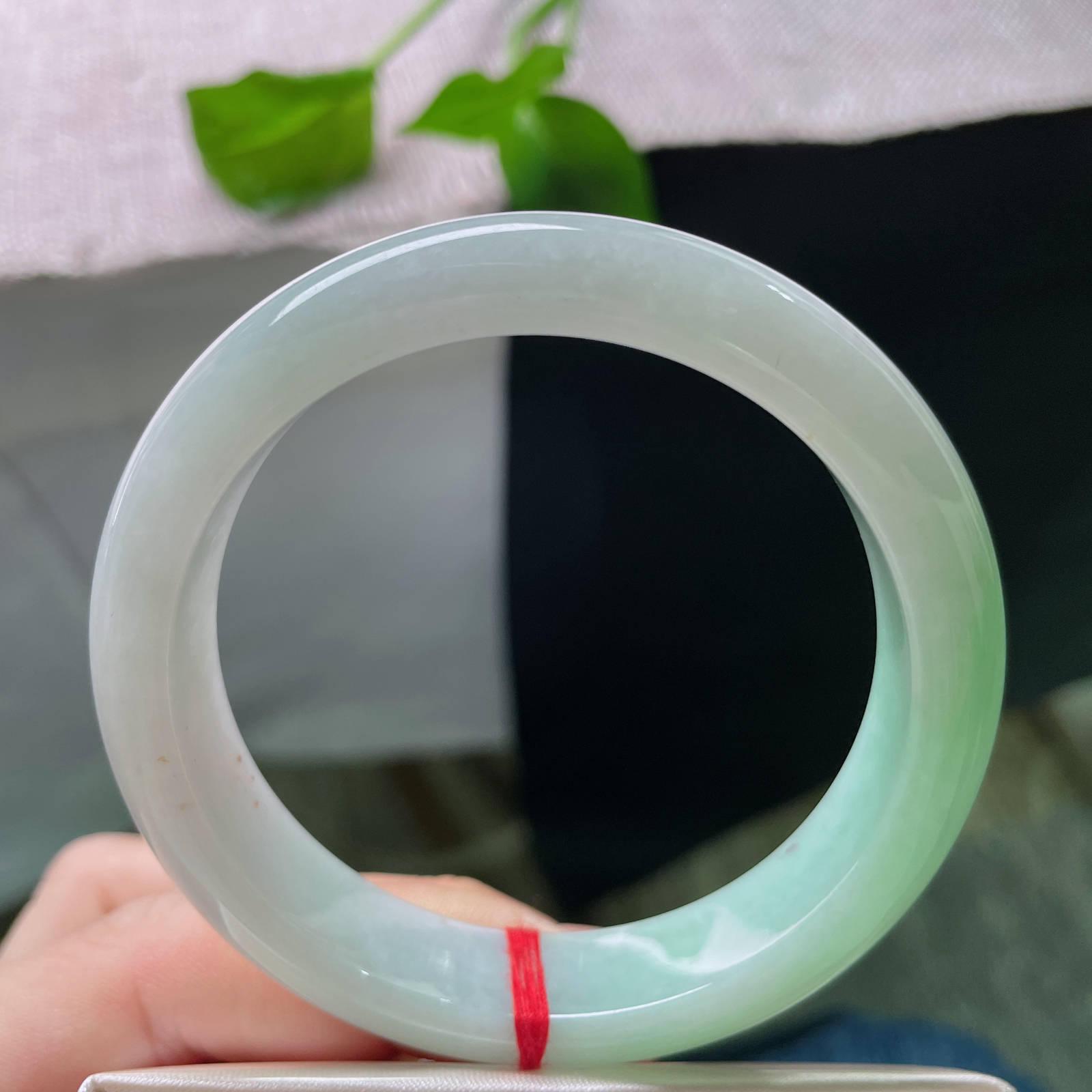 54.7/12.2/8，浅绿底正圈，颜色由浅入深渐变，细腻，清新，治愈，无裂，ss52241a..