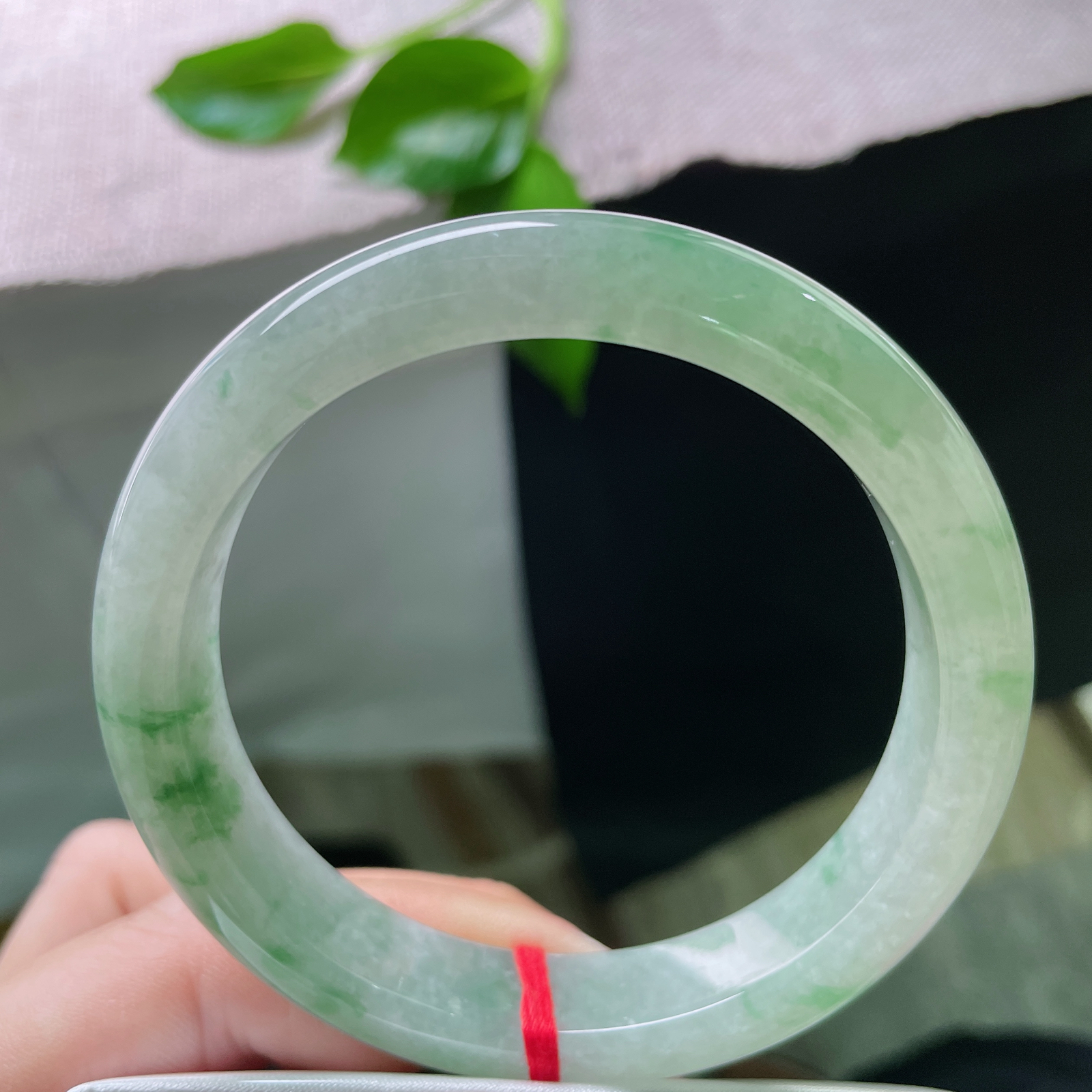 57.6/12/8.5，飘花正圈，水头好，花影摇曳，不负韶华，种老，无裂，ss51160a..