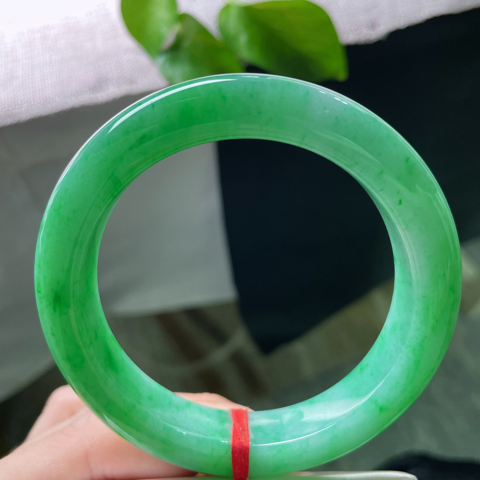 58.9/13.1/10.2，满绿正圈，碧色漫盈玉骨，芳华不染尘埃，抬手皆是盎然意，落腕尽是满堂春。无裂，ss53129a..