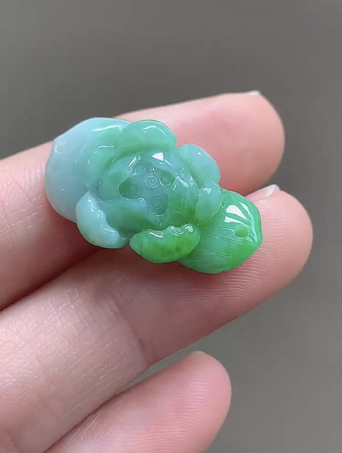 飘阳绿莲花，23.5×13.8×6..