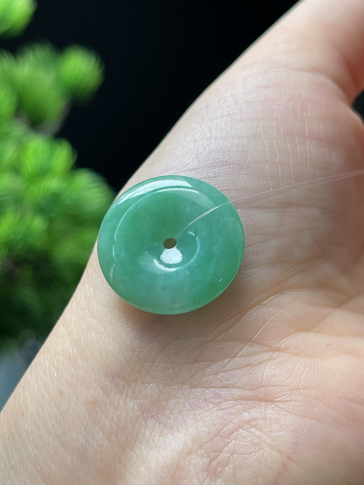 翡翠糯化种绿色平安扣