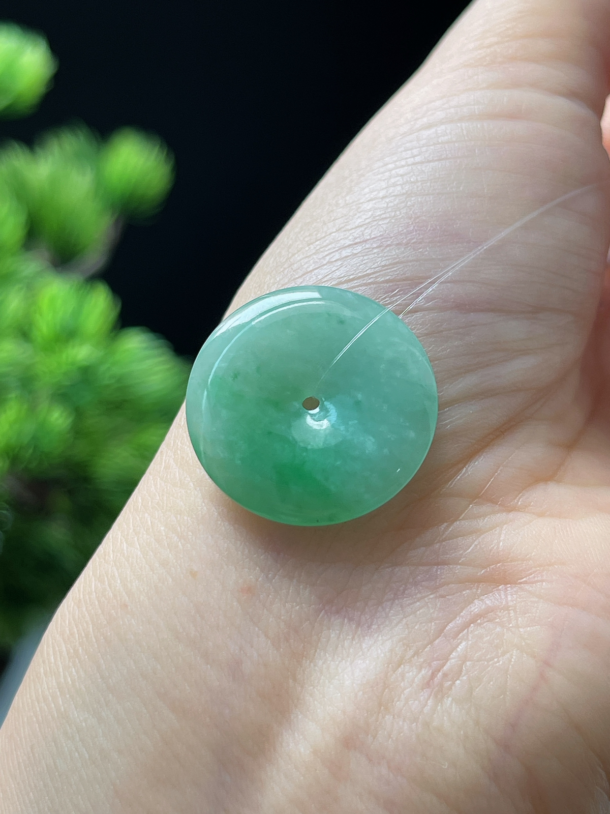 翡翠糯化种绿色平安扣