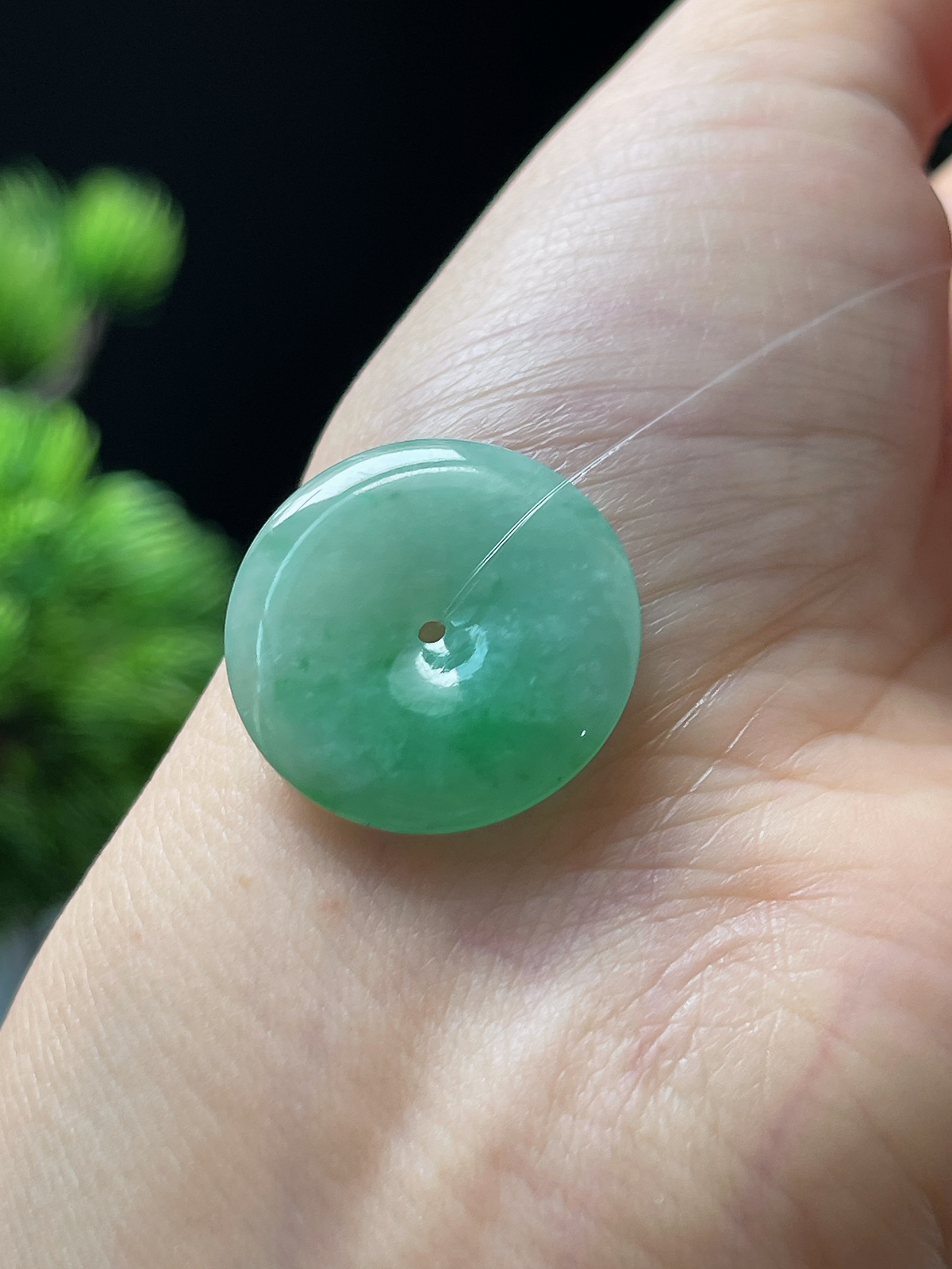 翡翠糯化种绿色平安扣