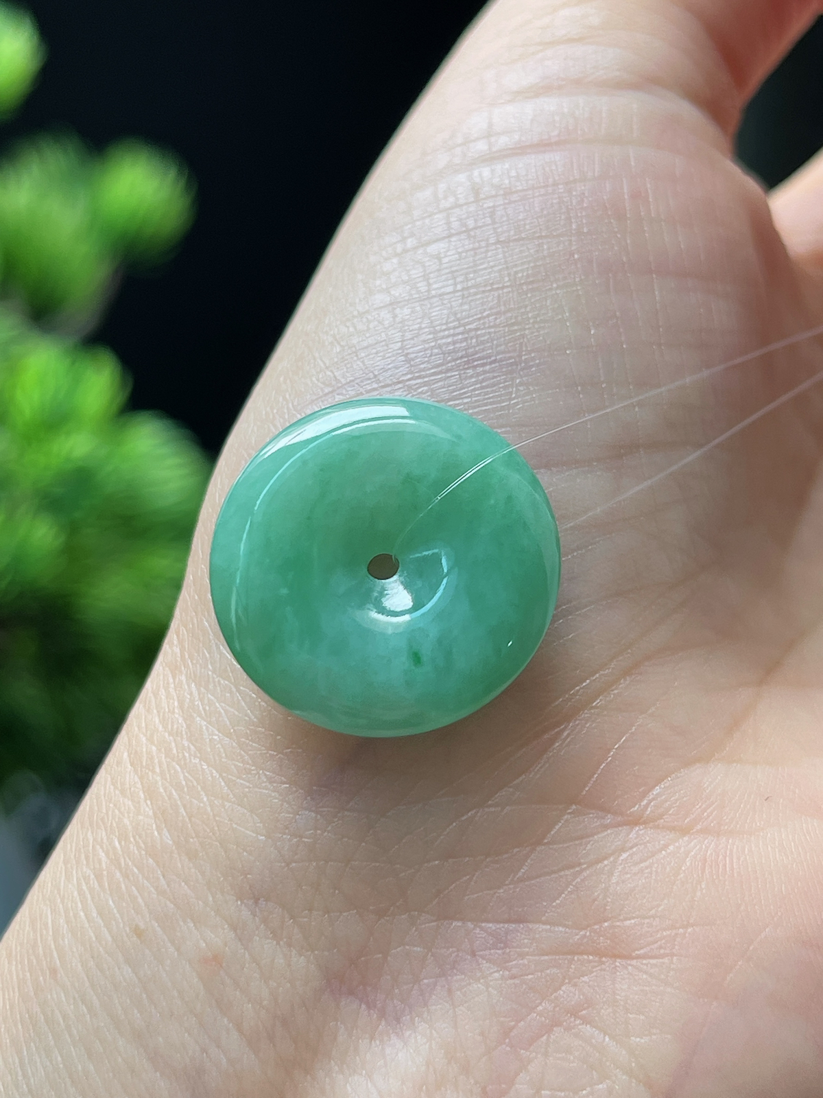 翡翠糯化种绿色平安扣