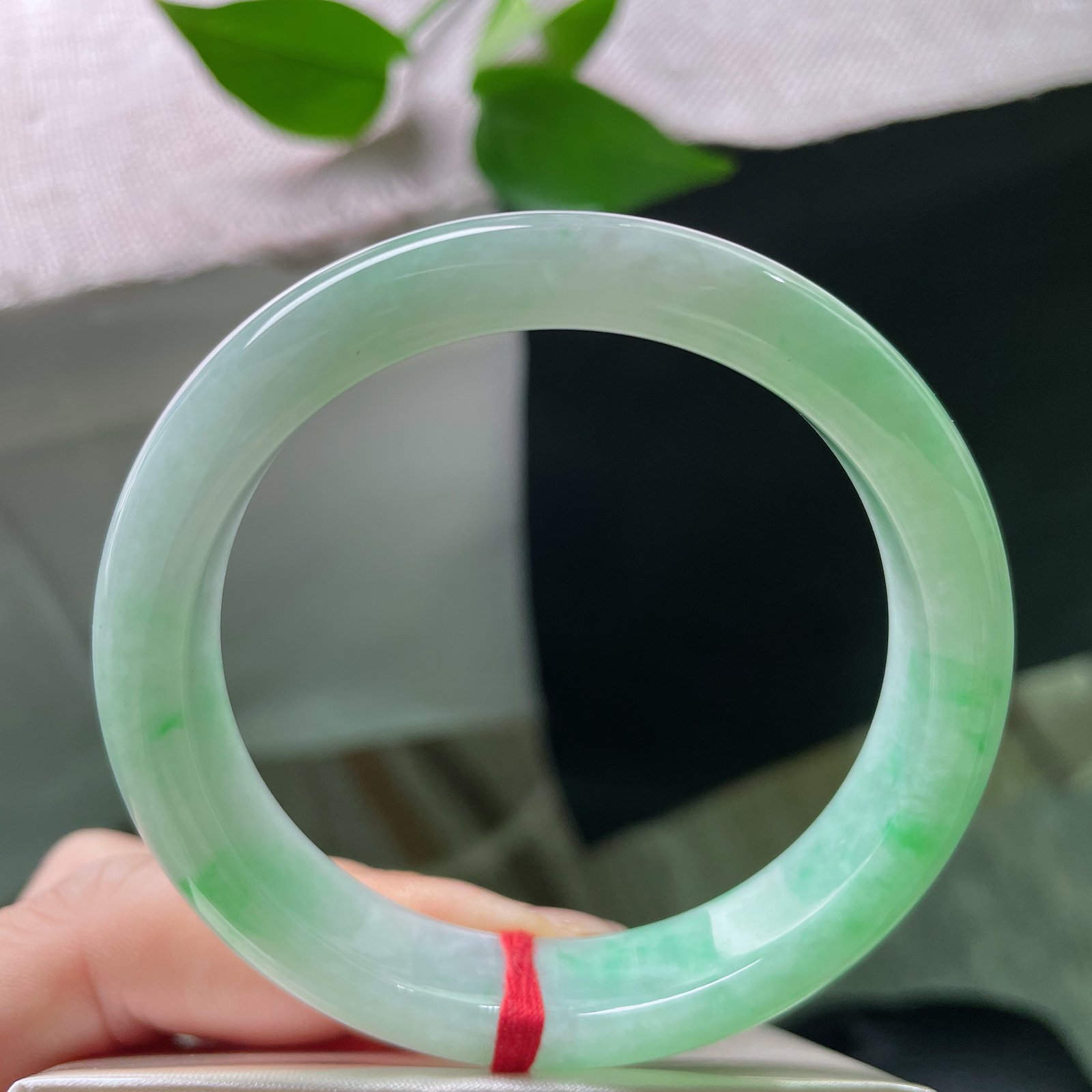 54.9/11.5/7.3，飘阳绿正圈，远山含翠，近水浮绿，腕间这点绿意，便是一整个江南。皮纹ss5