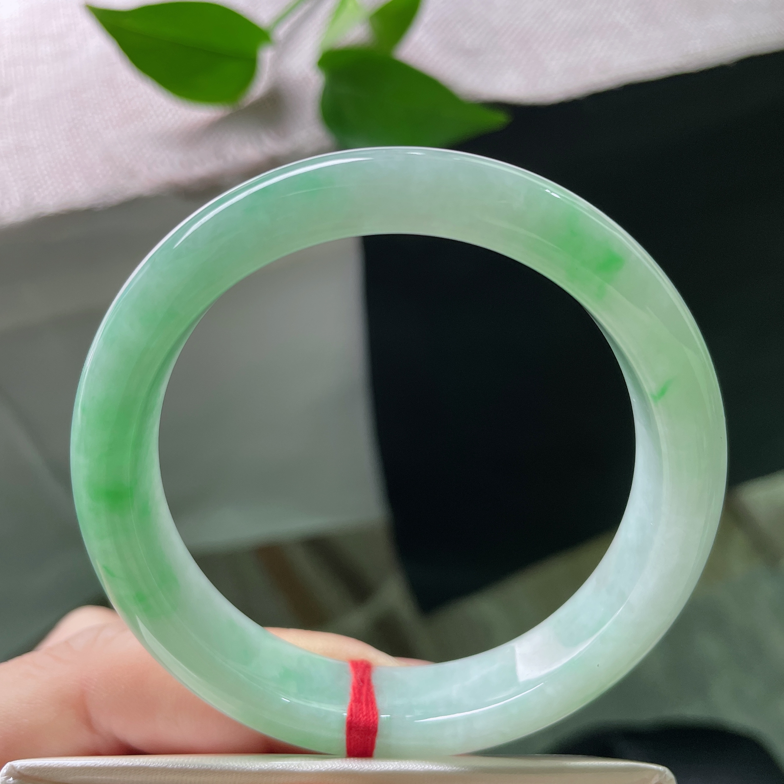 54.9/11.5/7.3，飘阳绿正圈，远山含翠，近水浮绿，腕间这点绿意，便是一整个江南。皮纹ss51289a