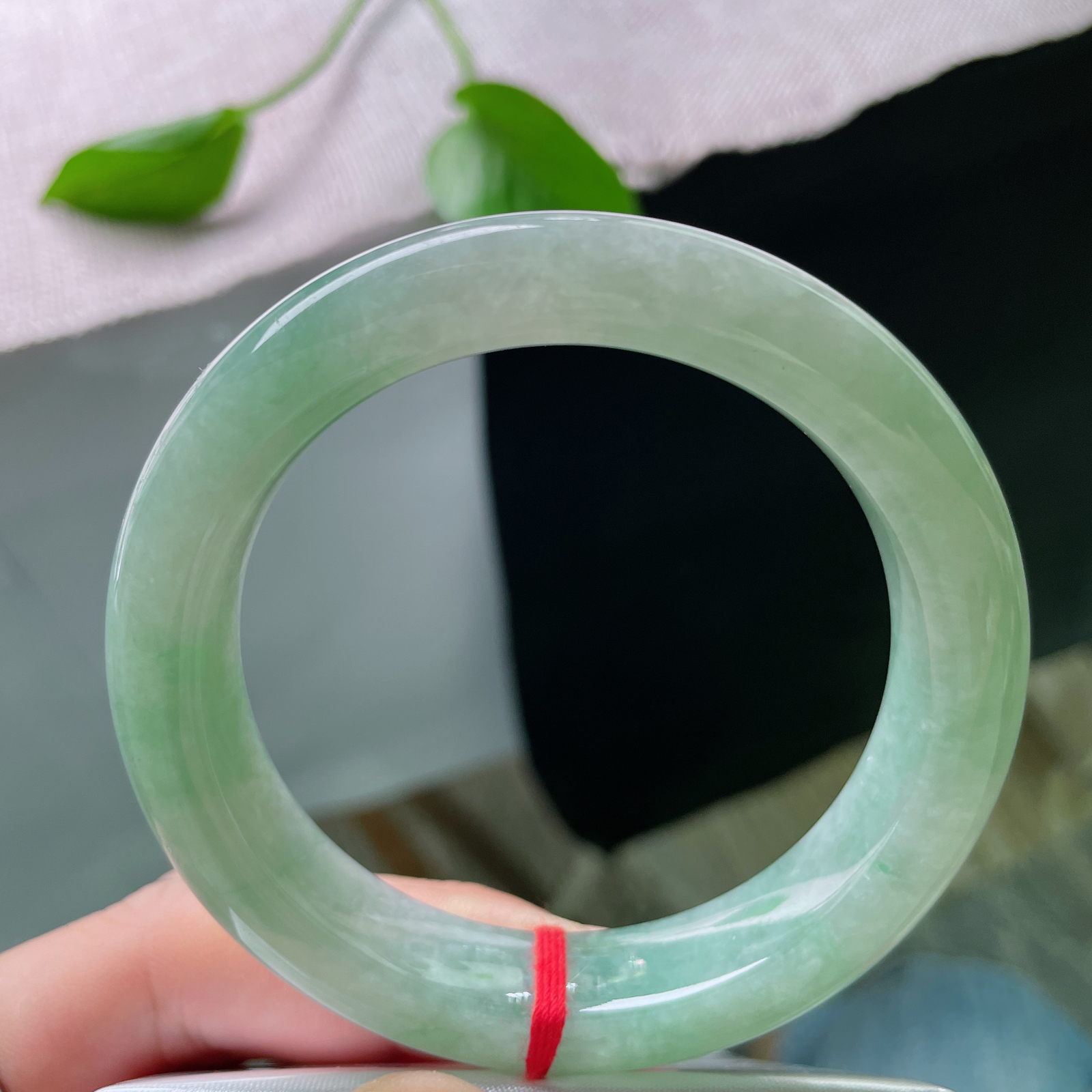 54.8/12.4/8.6，绿底正圈，水润细腻，种老，不与群芳争艳丽，独留雅韵绕腕摇。皮纹